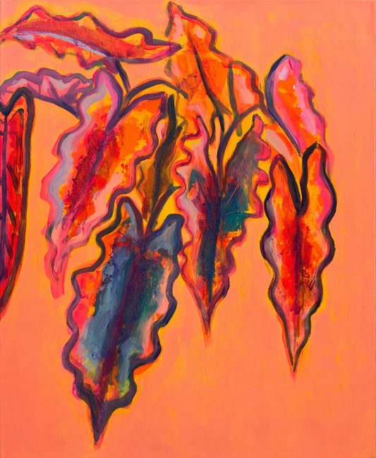 Alocasia Study artwork by Kathryn Sillince, 66cm x 82cm, featuring detailed botanical illustration of Alocasia plant.