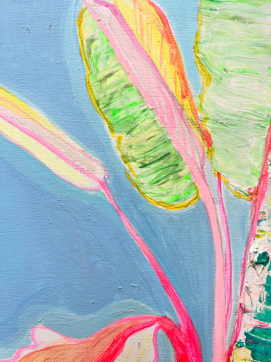 'Musa Basjoo' 46cm x 46cm - Kathryn Sillince Artist