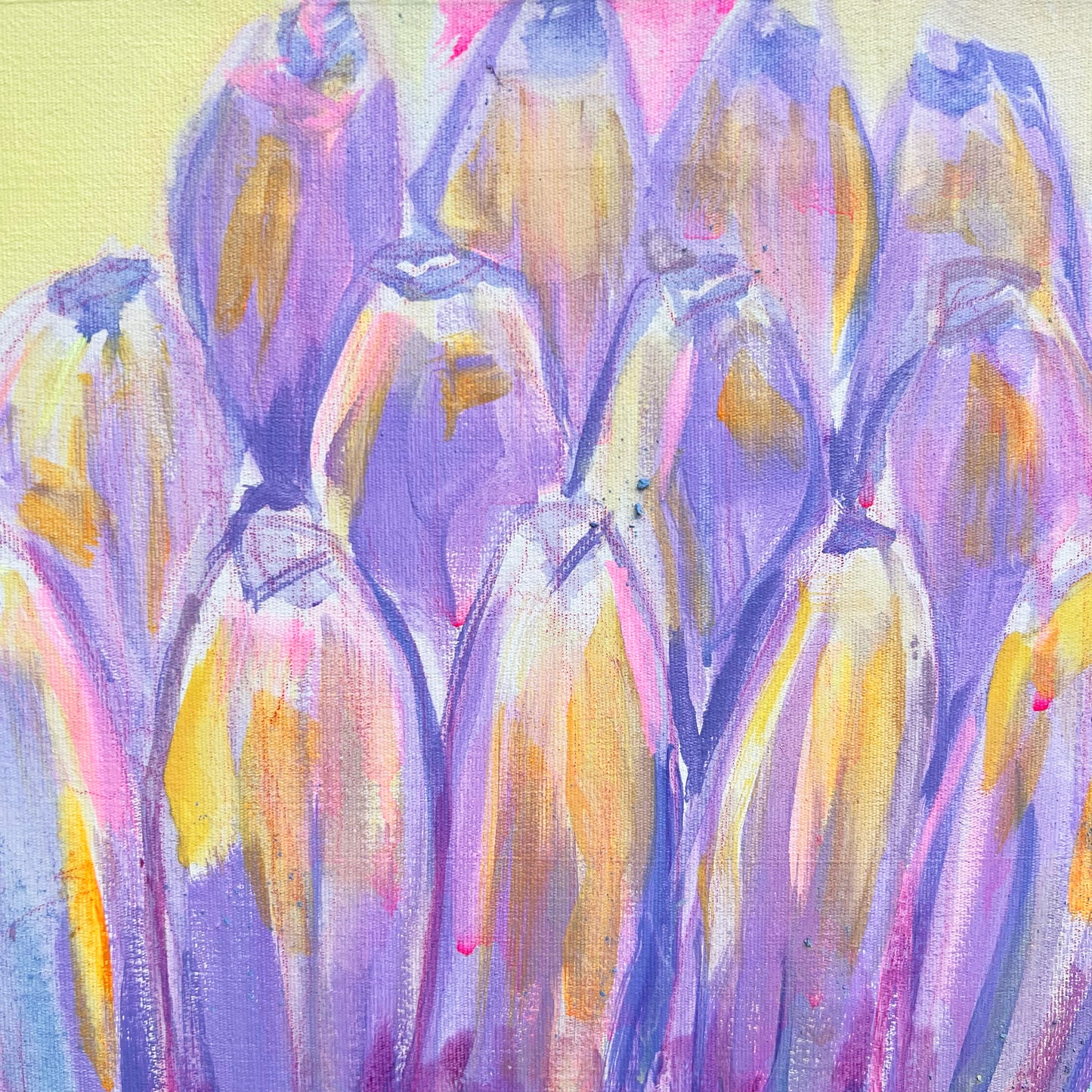 'Pink and Blue Banana Study' 51cm x 51cm - Kathryn Sillince Artist