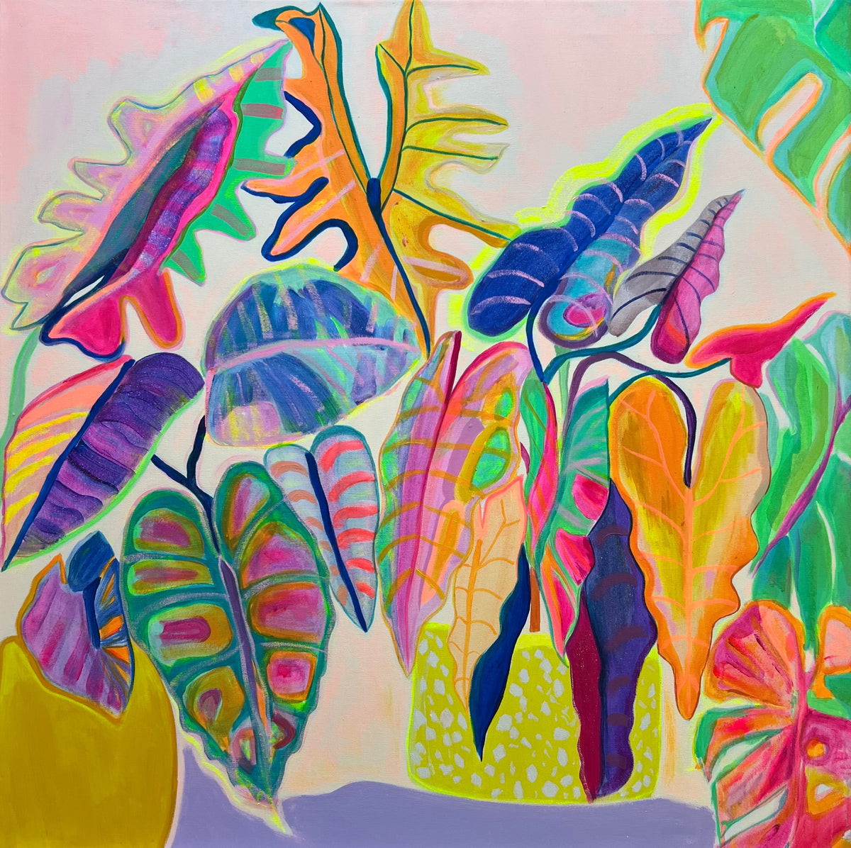 'Alocasia Revelation' print - Kathryn Sillince Artist