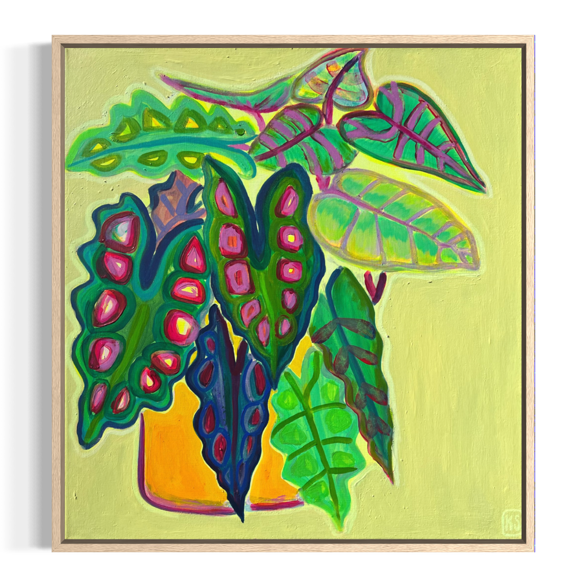 Alocasia Study VI canvas print by Printumo featuring a detailed botanical illustration of an Alocasia plant.