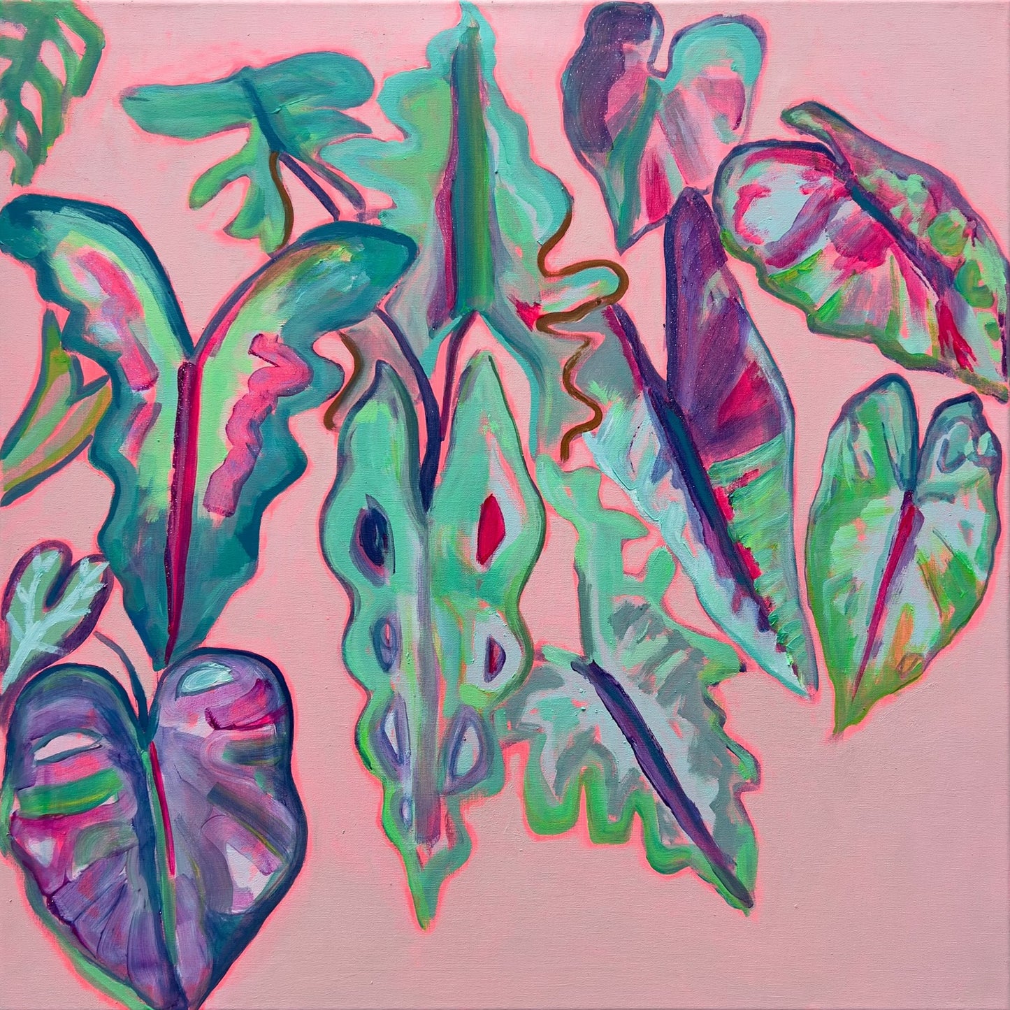 Alocasia Study III artwork by Kathryn Sillince, featuring vibrant botanical illustrations on a large 82cm x 82cm canvas.