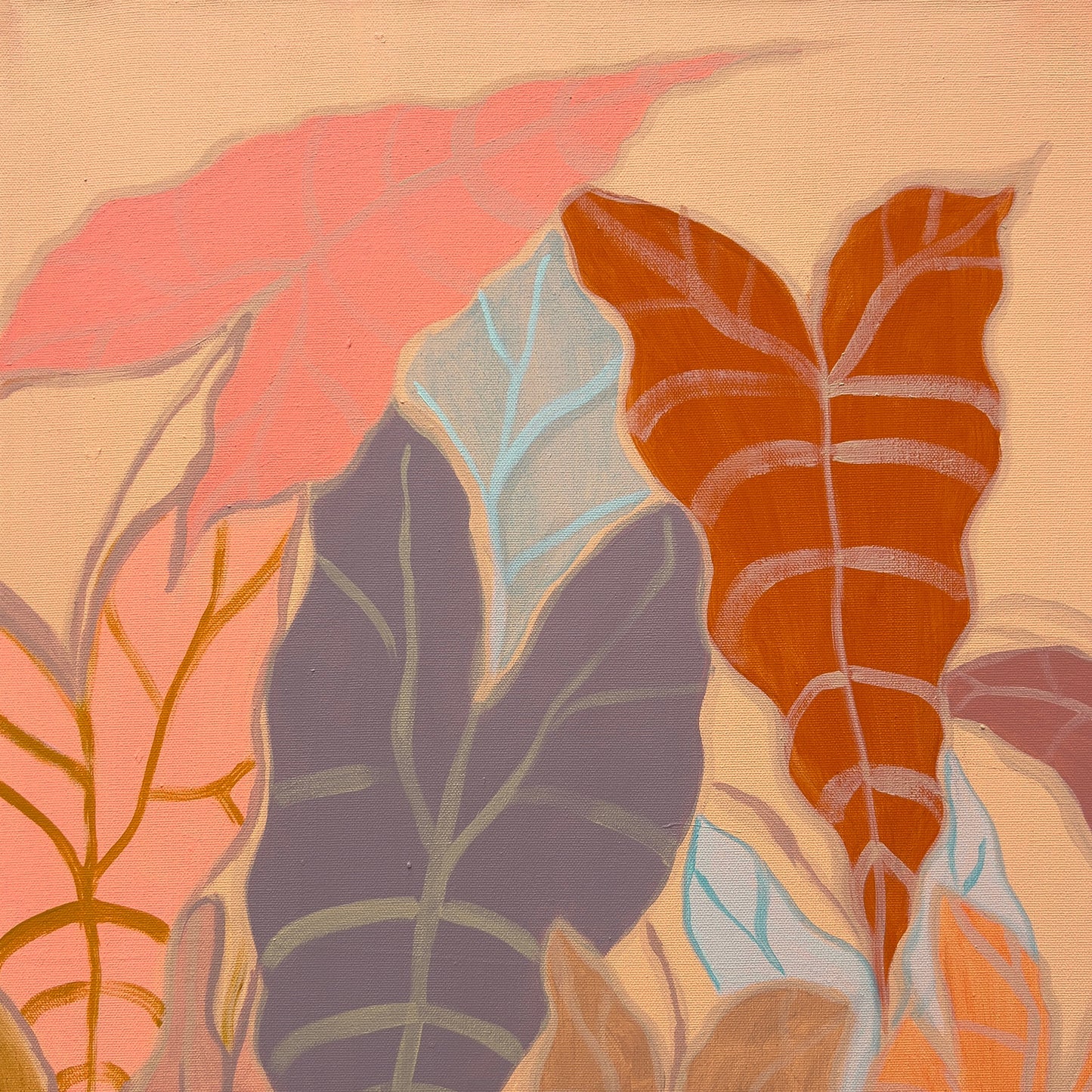 Botanical print set featuring peachy Alocasia illustrations by Kathryn Sillince Artist, showcasing two vibrant plant artworks.