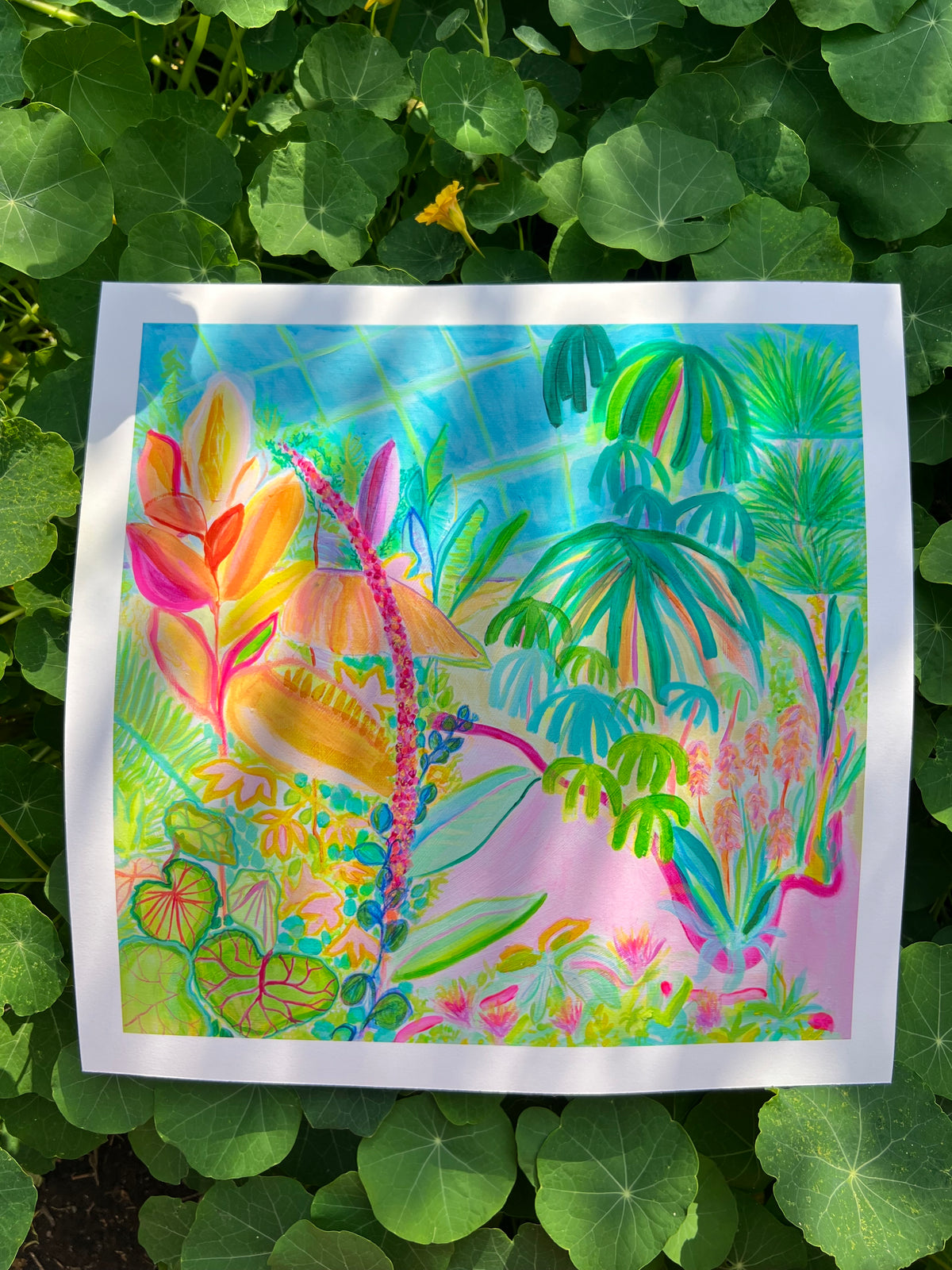 'Inflorescence Immersion' paper print - Kathryn Sillince Artist
