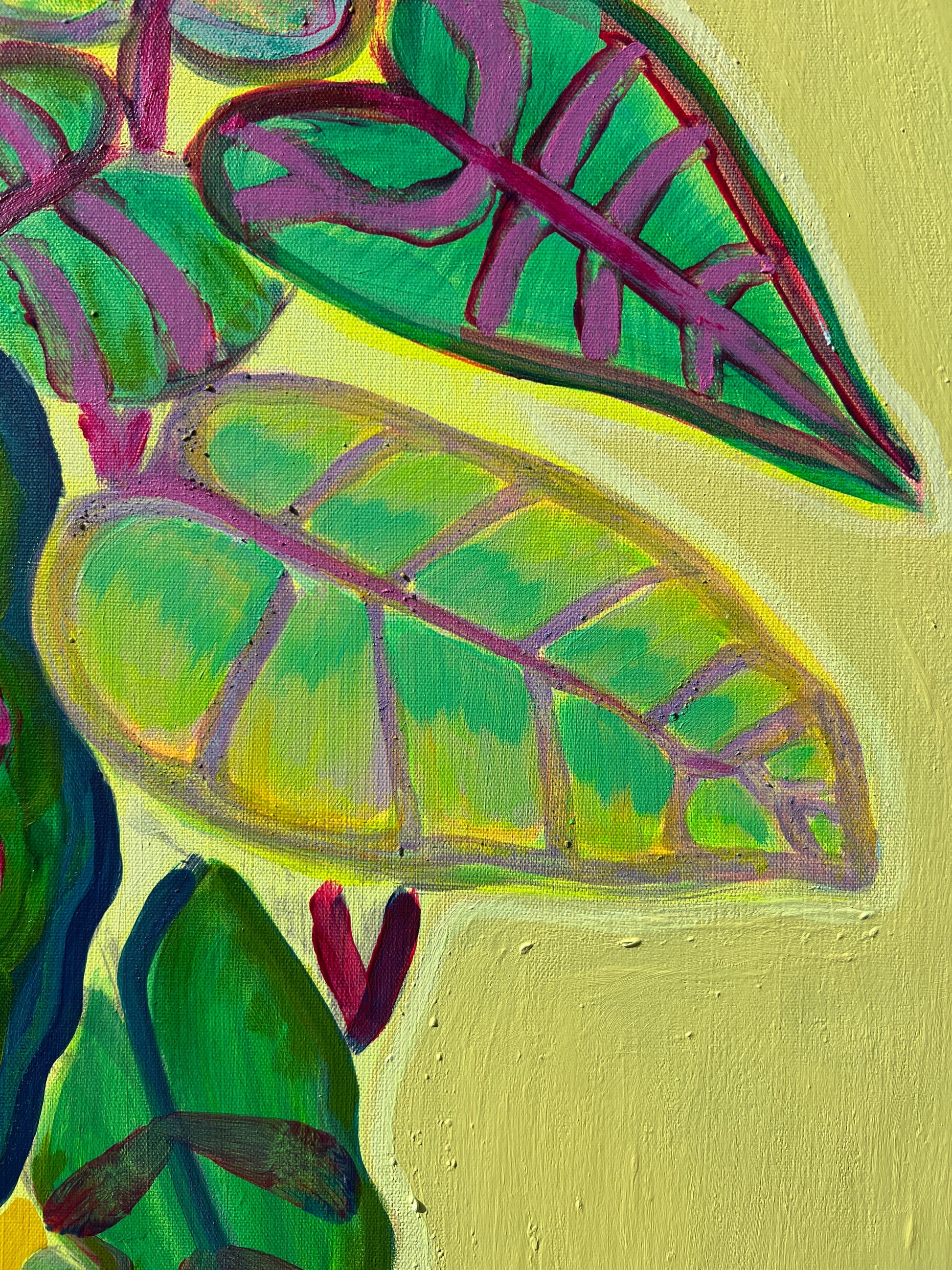 Alocasia Study IV artwork by Kathryn Sillince, 61cm x 71cm, featuring detailed botanical illustration of Alocasia plant.