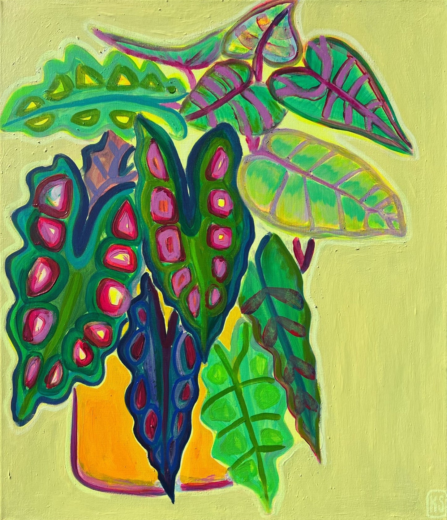 Alocasia Study IV artwork by Kathryn Sillince, 61cm x 71cm, featuring detailed botanical illustration of Alocasia plant.