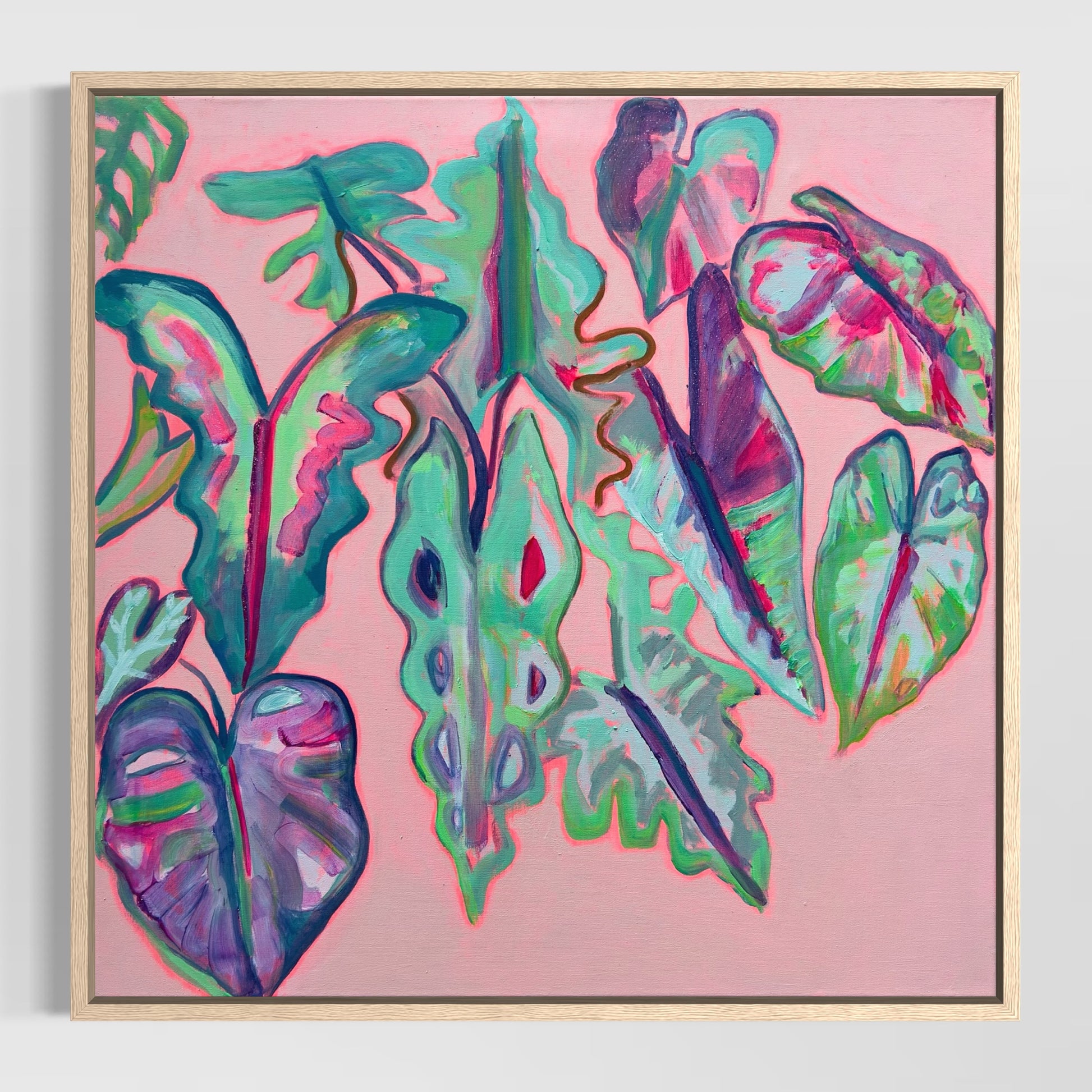 Alocasia Study III artwork by Kathryn Sillince, 82cm x 82cm, featuring detailed botanical illustration of lush Alocasia plant.
