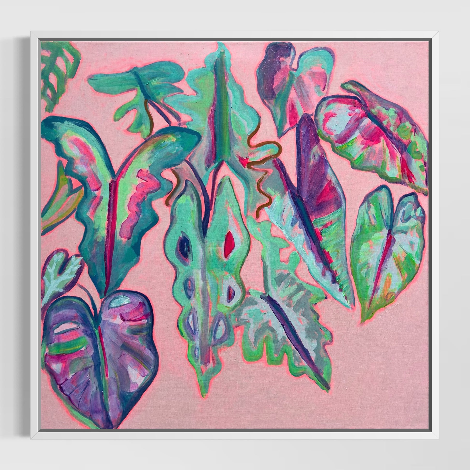 Alocasia Study III artwork by Kathryn Sillince, 82cm x 82cm, featuring detailed botanical illustration of Alocasia plant.
