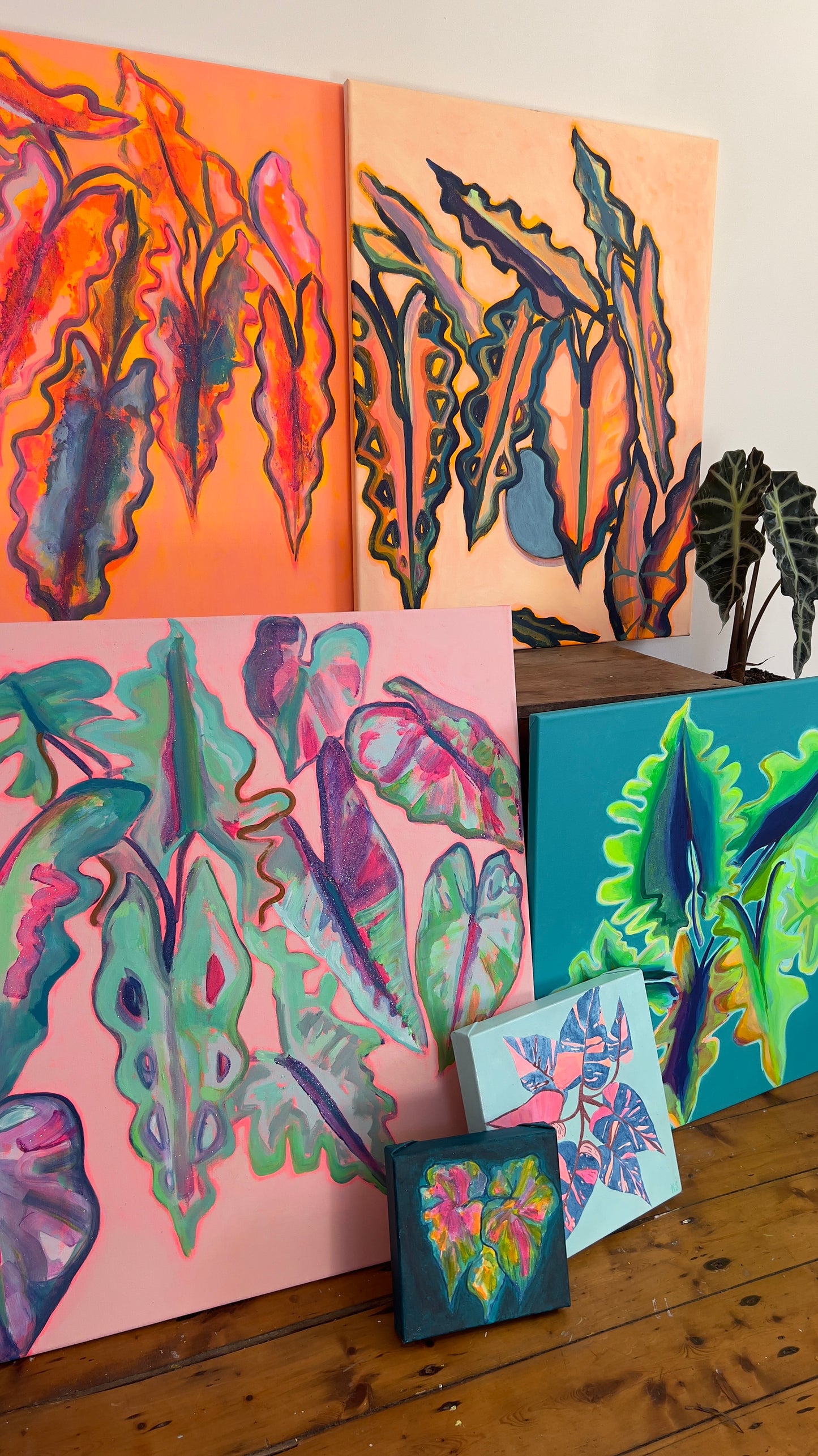 Alocasia Study artwork by Kathryn Sillince, 66cm x 82cm, showcasing detailed botanical illustration of Alocasia plant.