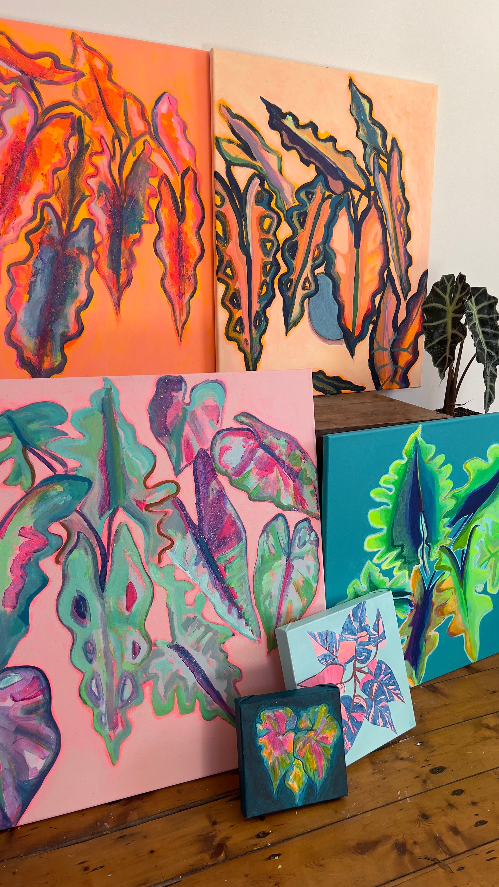 Alocasia Study artwork by Kathryn Sillince, 66cm x 82cm, showcasing detailed botanical illustration of Alocasia plant.