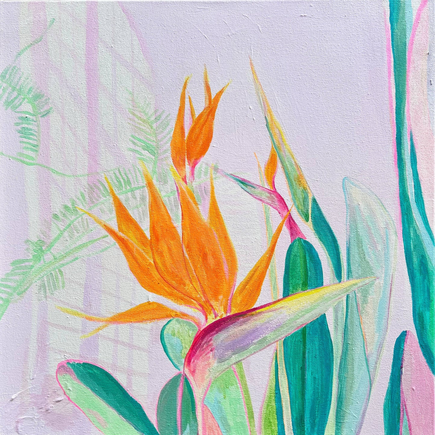'A Flock Of Orange'  60cm x 60cm - Kathryn Sillince Artist