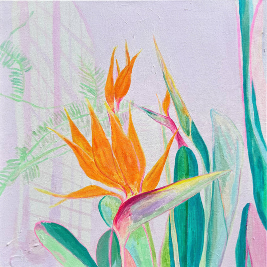 'A Flock Of Orange'  60cm x 60cm - Kathryn Sillince Artist