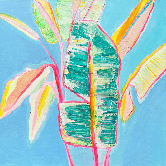 'Musa Basjoo'  46cm x 46cm - Kathryn Sillince Artist