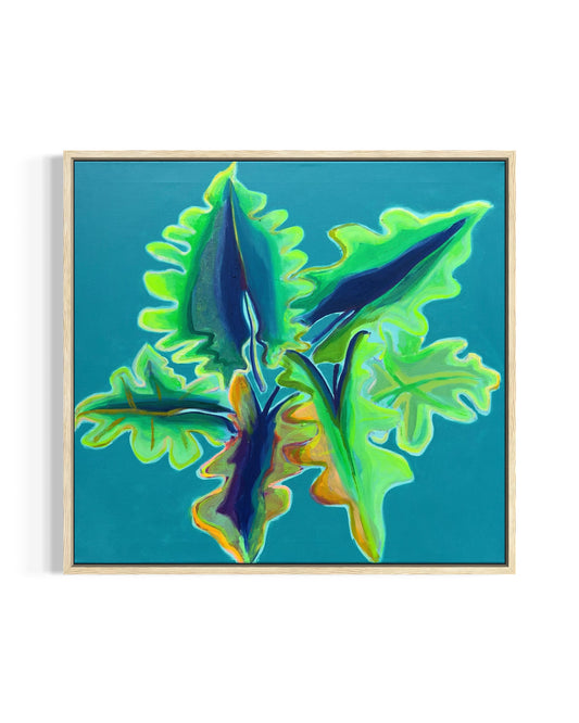 Turquoise and emerald Alocasia study artwork by Kathryn Sillince, measuring 66cm by 71cm, showcasing vibrant leaf details.