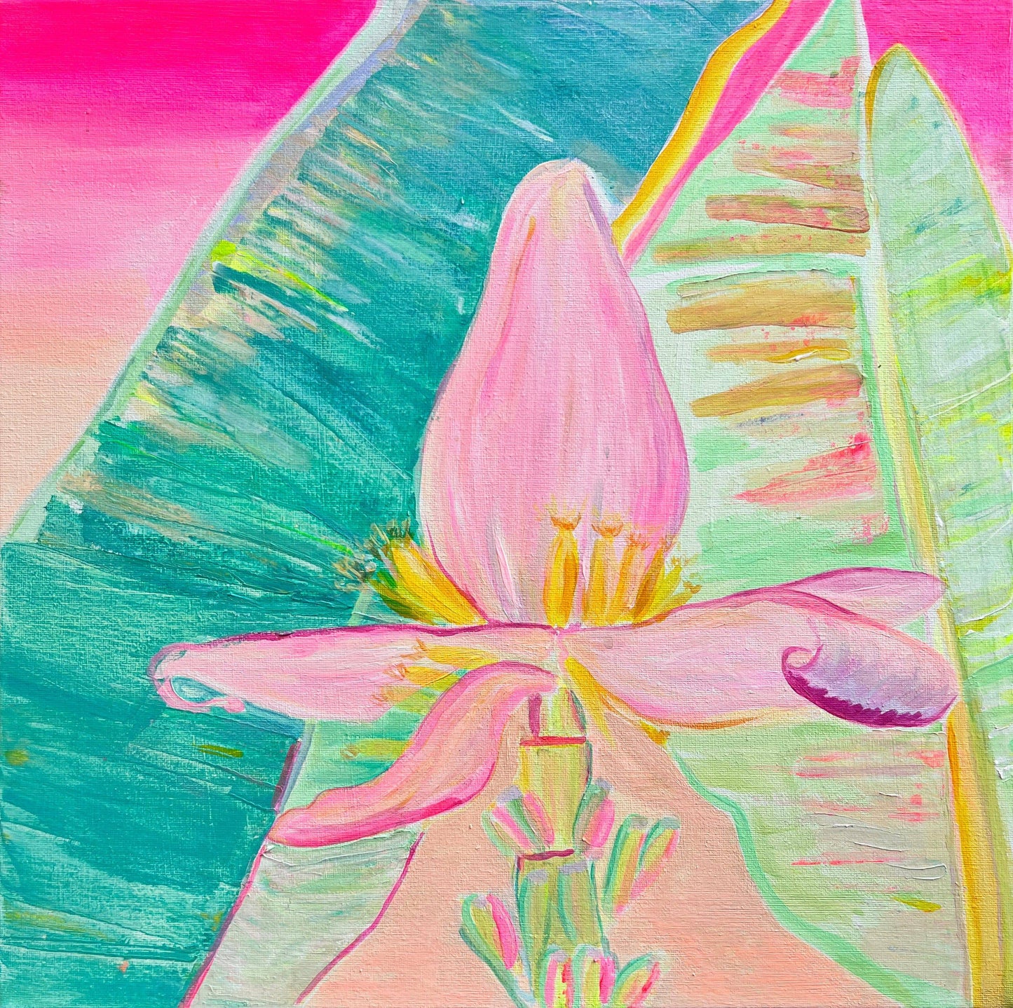 'Goldenhour Bananas'  41cm x 41cm - Kathryn Sillince Artist