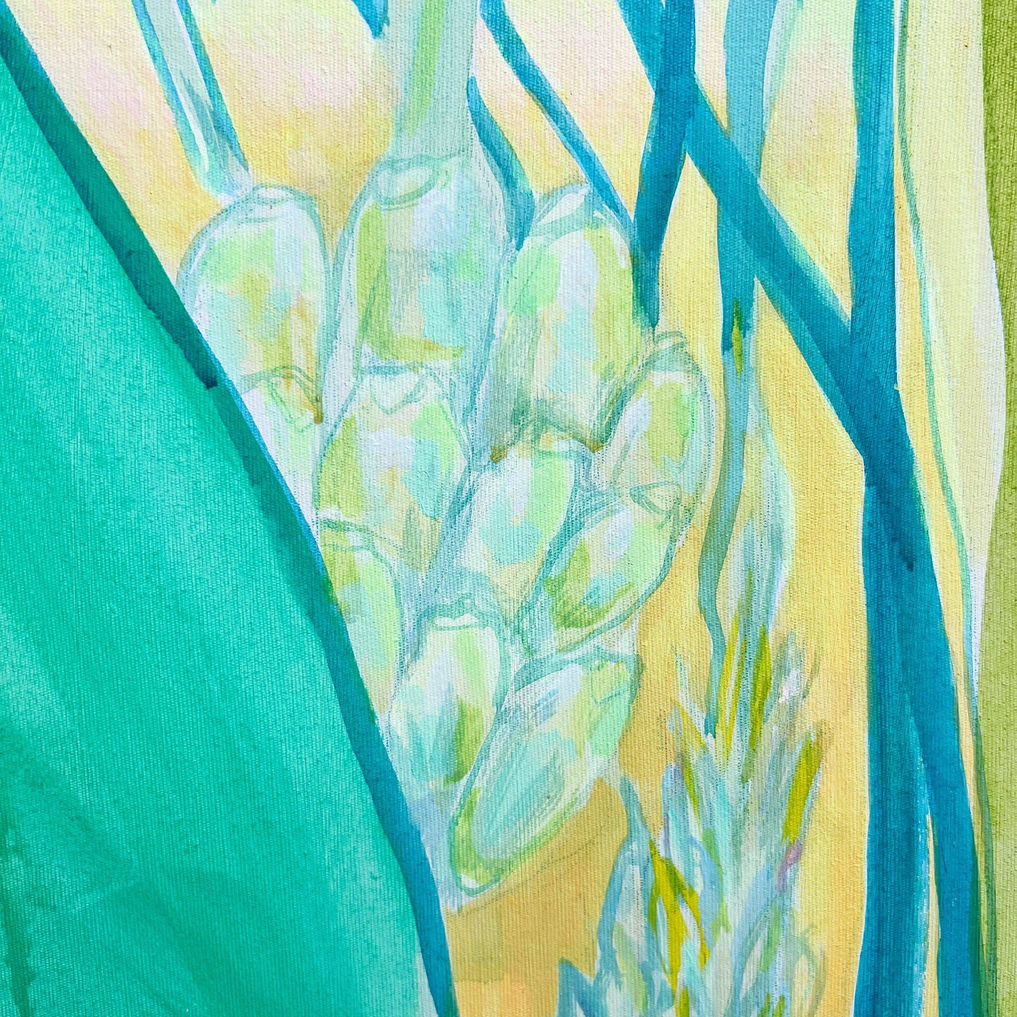 'Green Bananas Study'  51cm x 51cm - Kathryn Sillince Artist