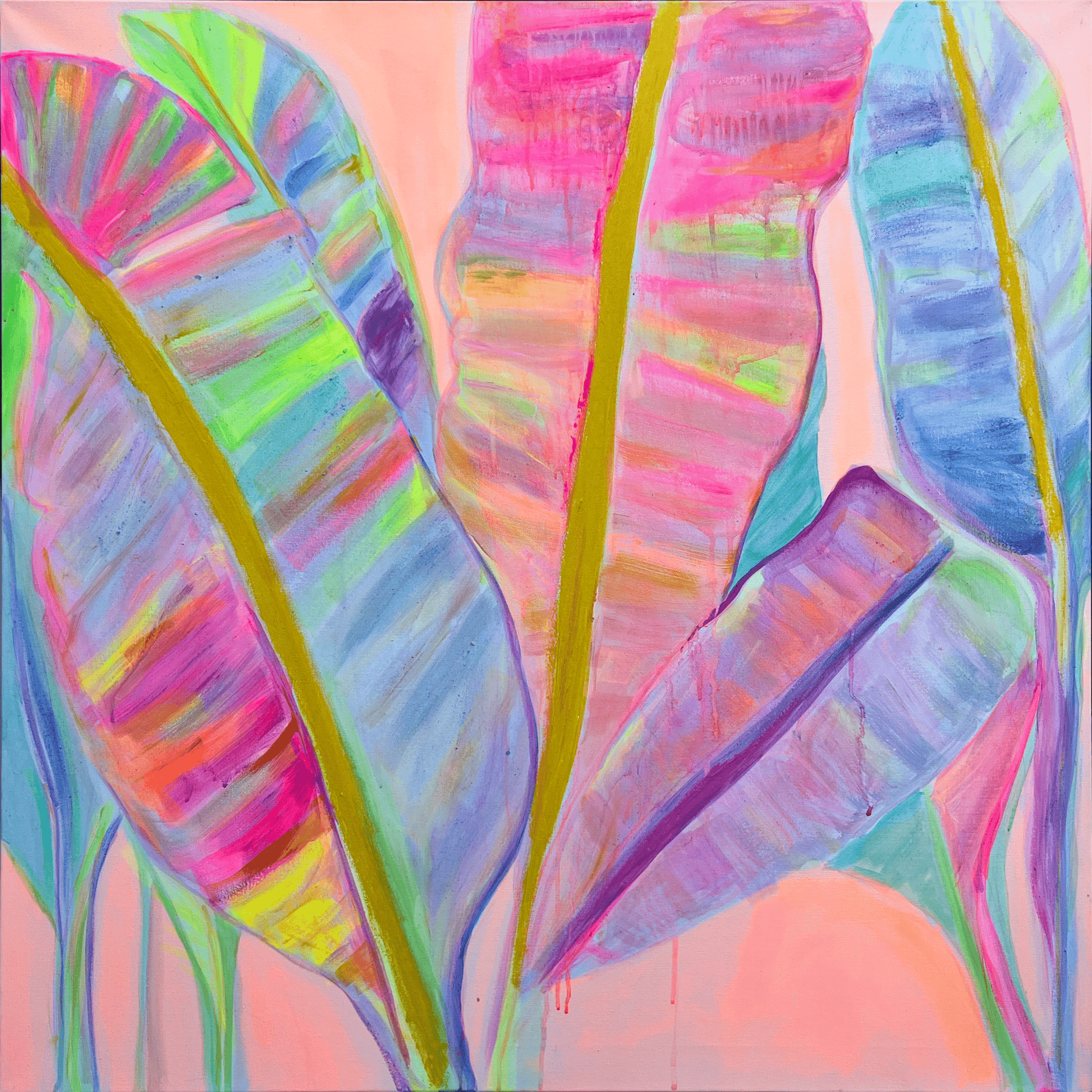 'Rainbow Banana Leaves II'  90cm x 90cm - Kathryn Sillince Artist