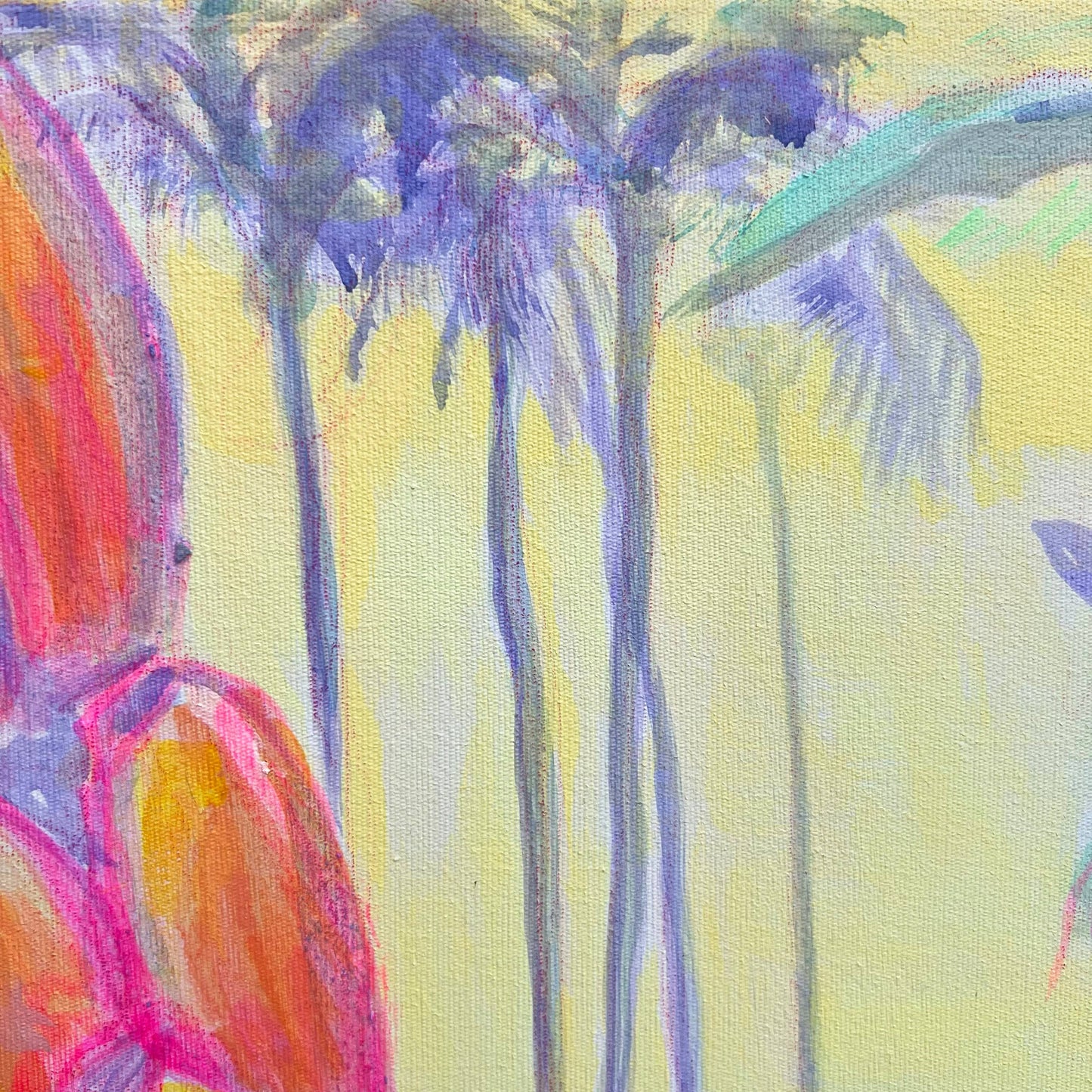 'Pink Banana Sunset Study'  51cm x 51cm - Kathryn Sillince Artist