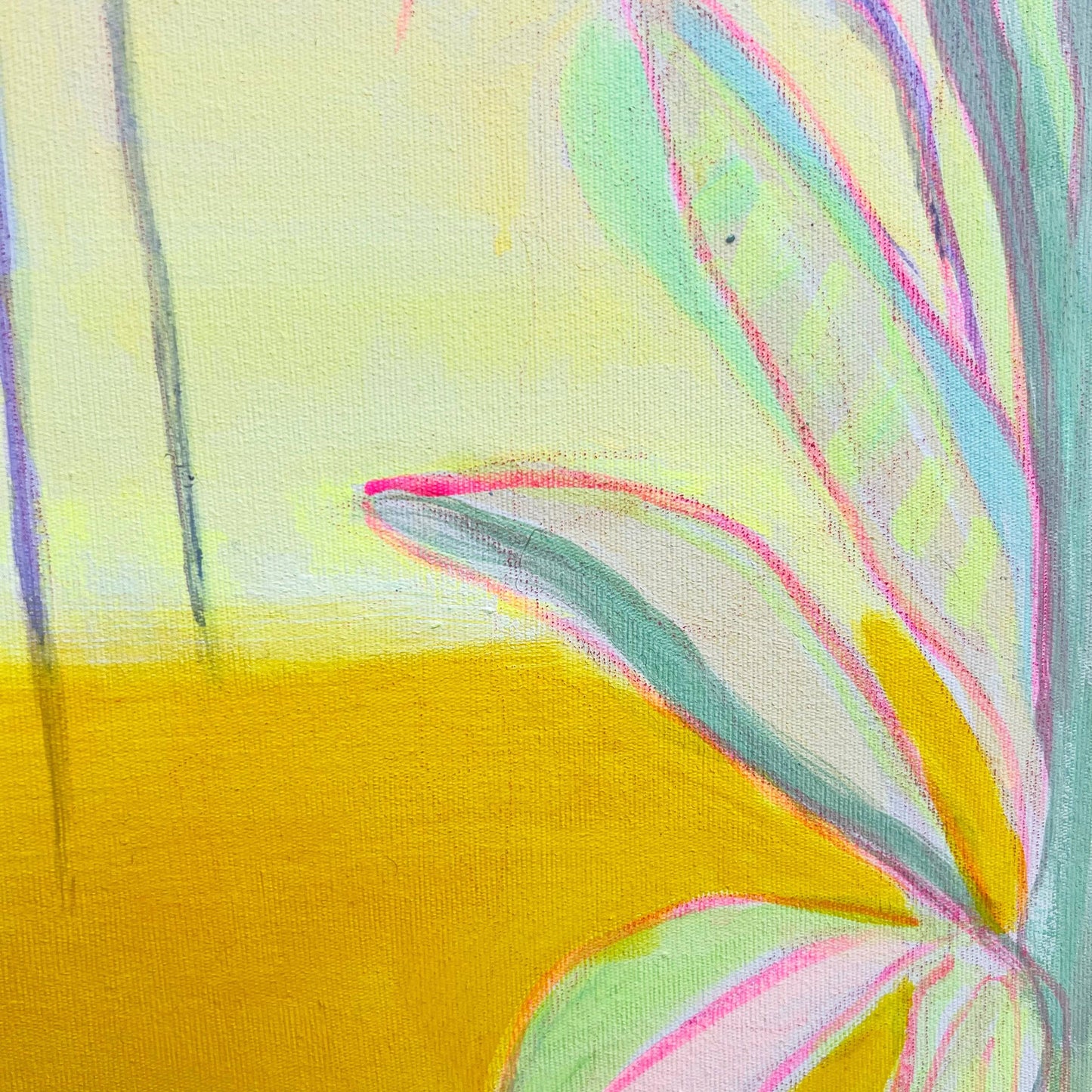 'Pink Banana Sunset Study'  51cm x 51cm - Kathryn Sillince Artist