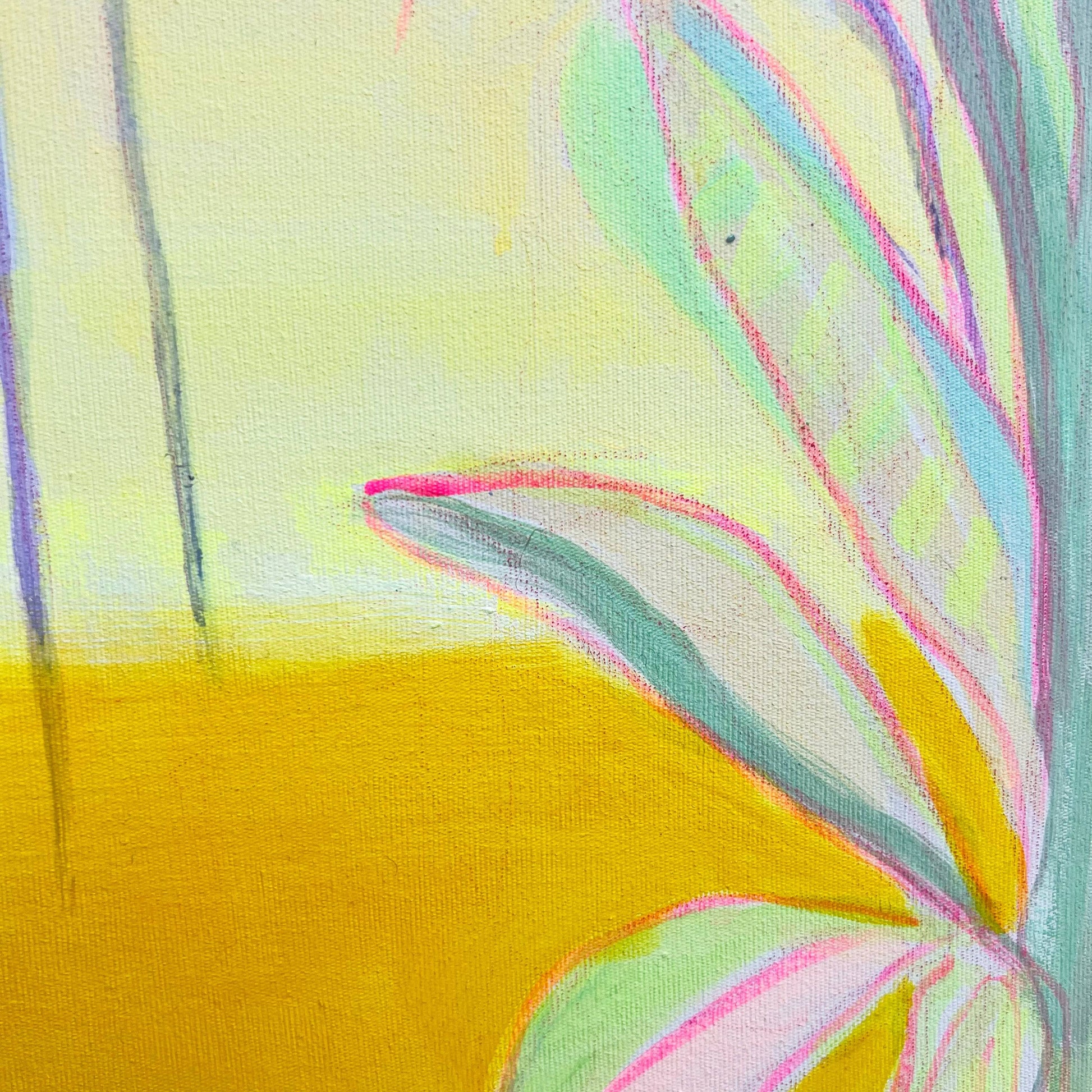 'Pink Banana Sunset Study'  51cm x 51cm - Kathryn Sillince Artist