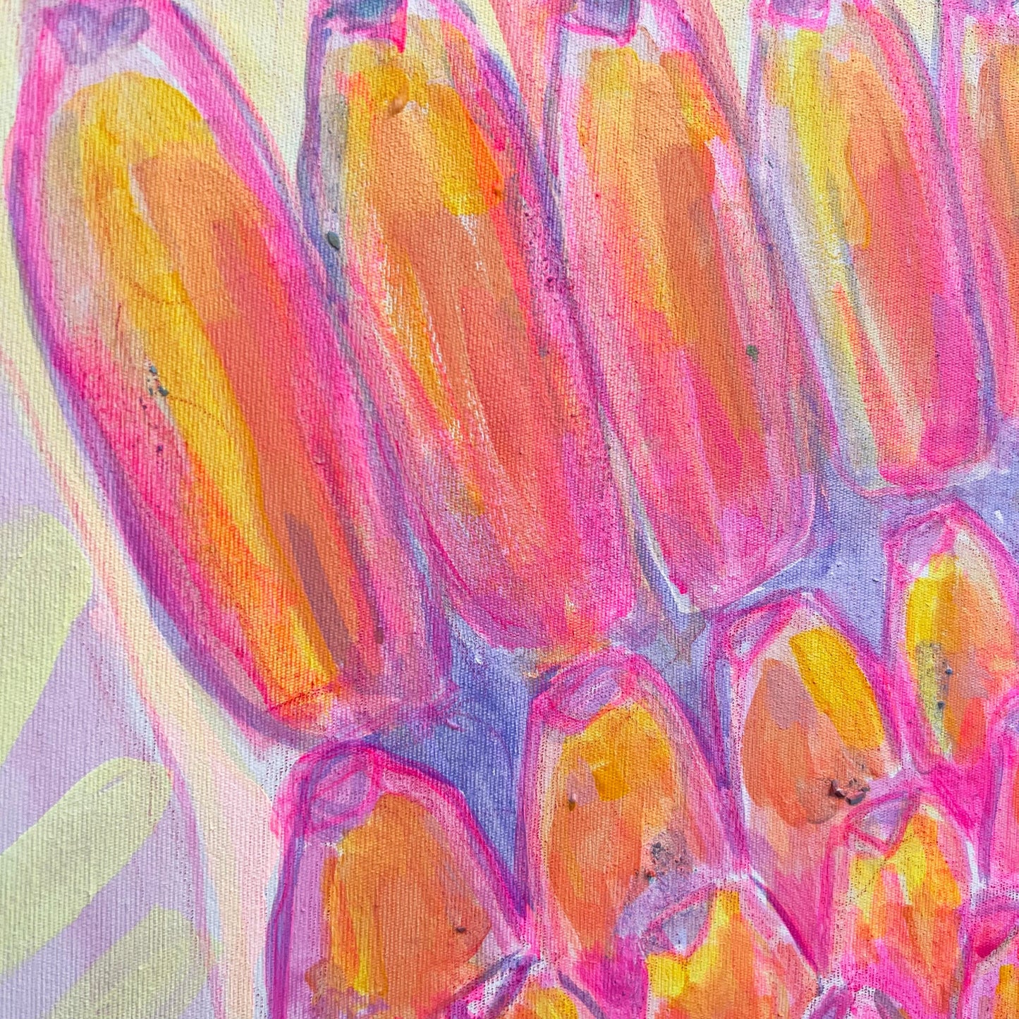 'Pink Banana Sunset Study'  51cm x 51cm - Kathryn Sillince Artist