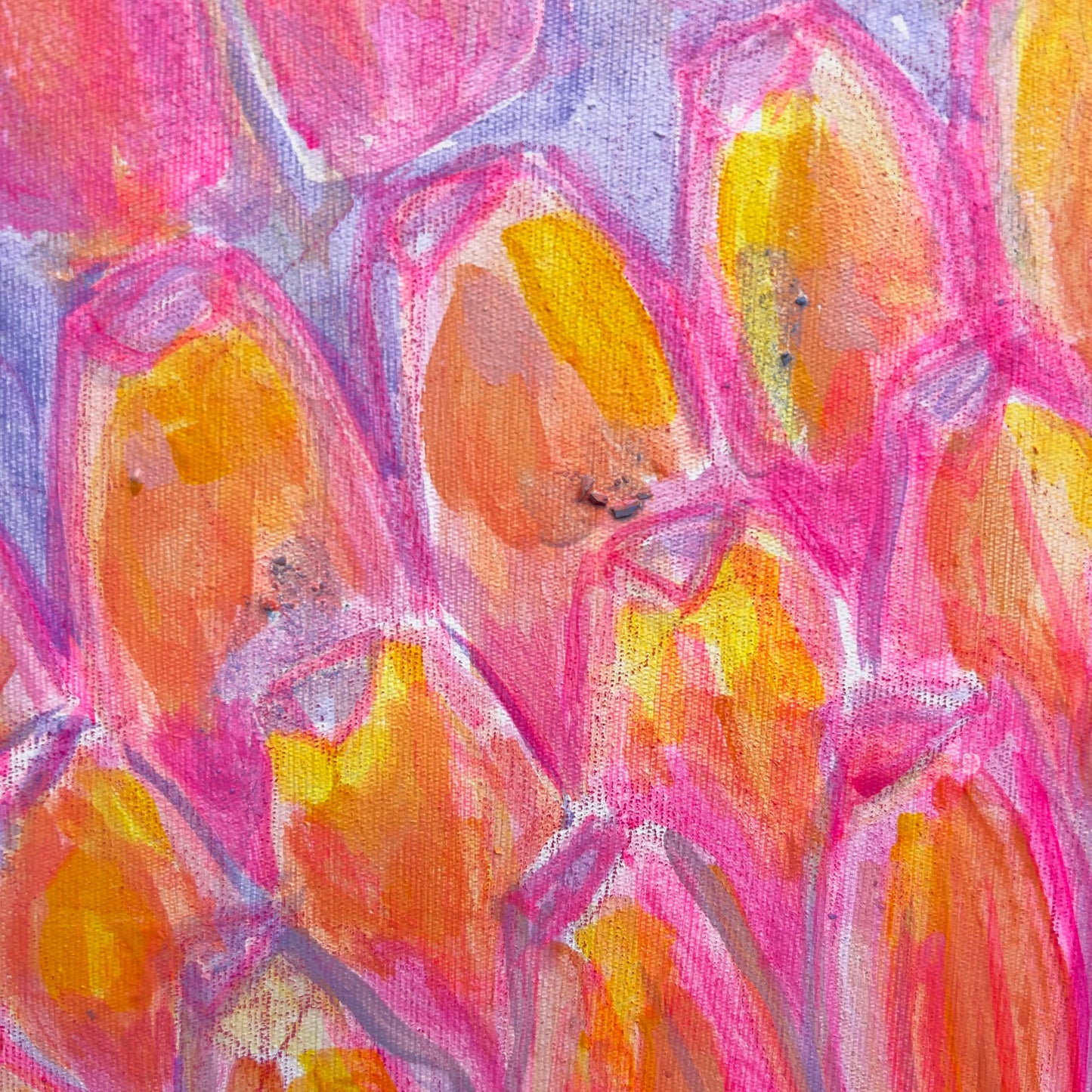 'Pink Banana Sunset Study'  51cm x 51cm - Kathryn Sillince Artist