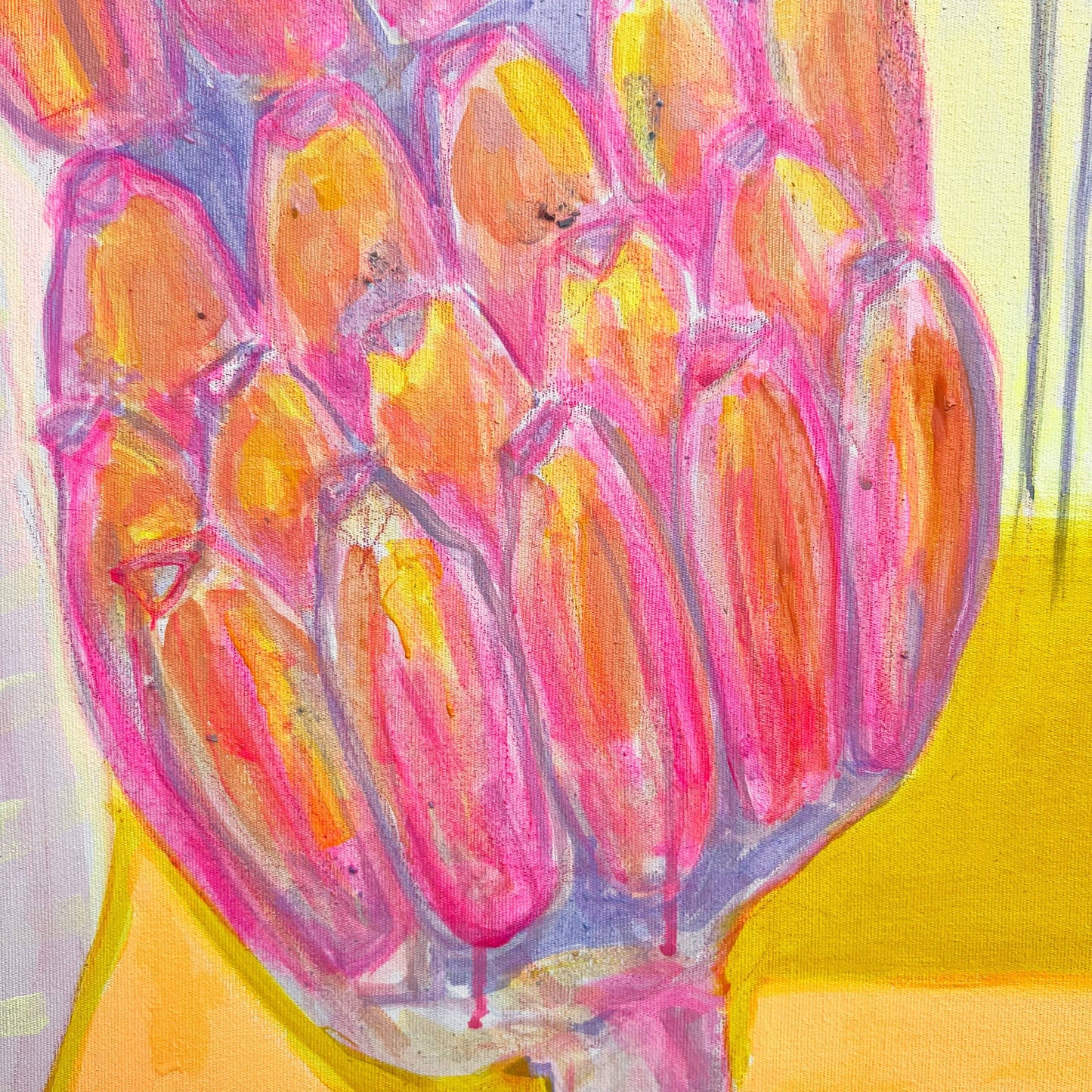 'Pink Banana Sunset Study'  51cm x 51cm - Kathryn Sillince Artist