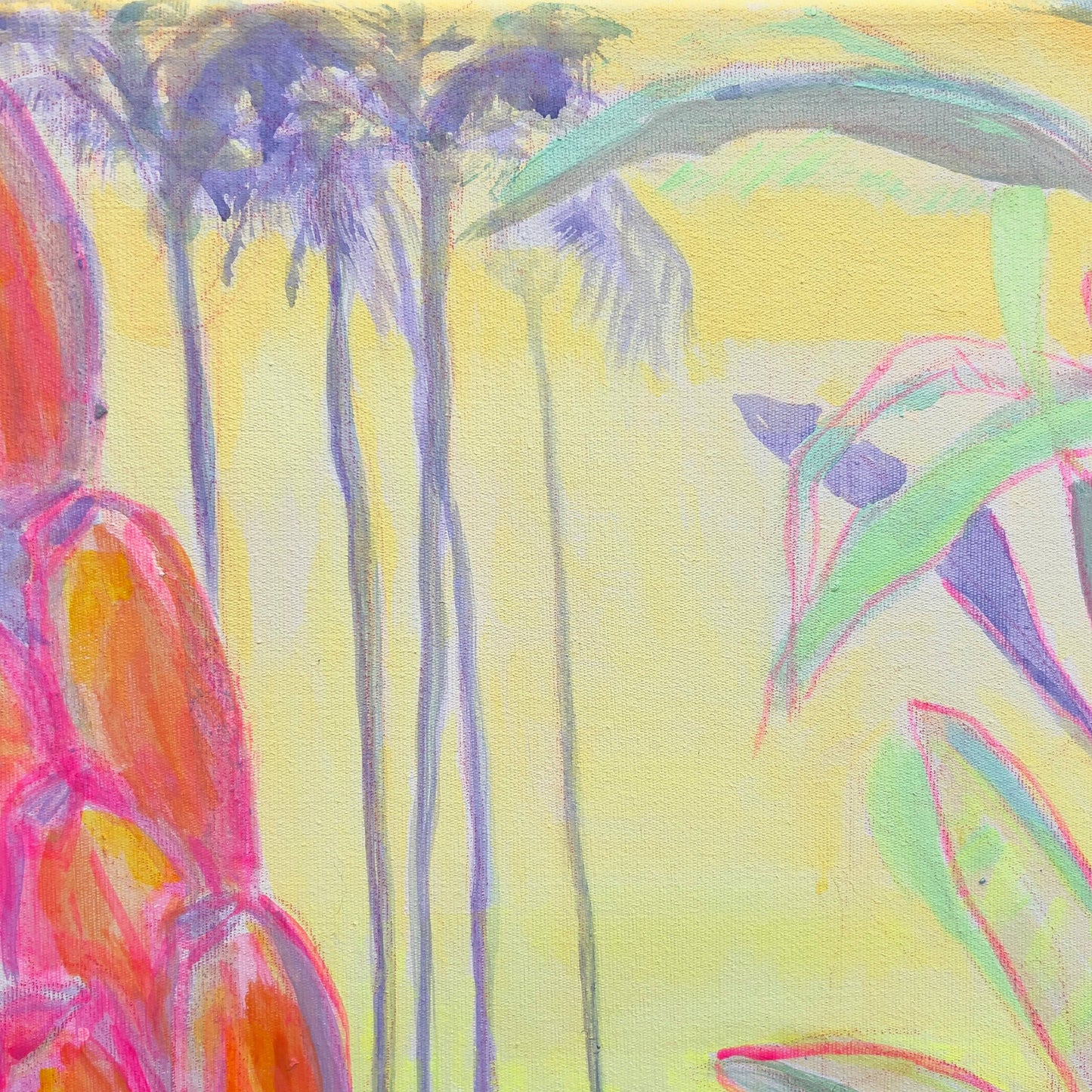 'Pink Banana Sunset Study'  51cm x 51cm - Kathryn Sillince Artist