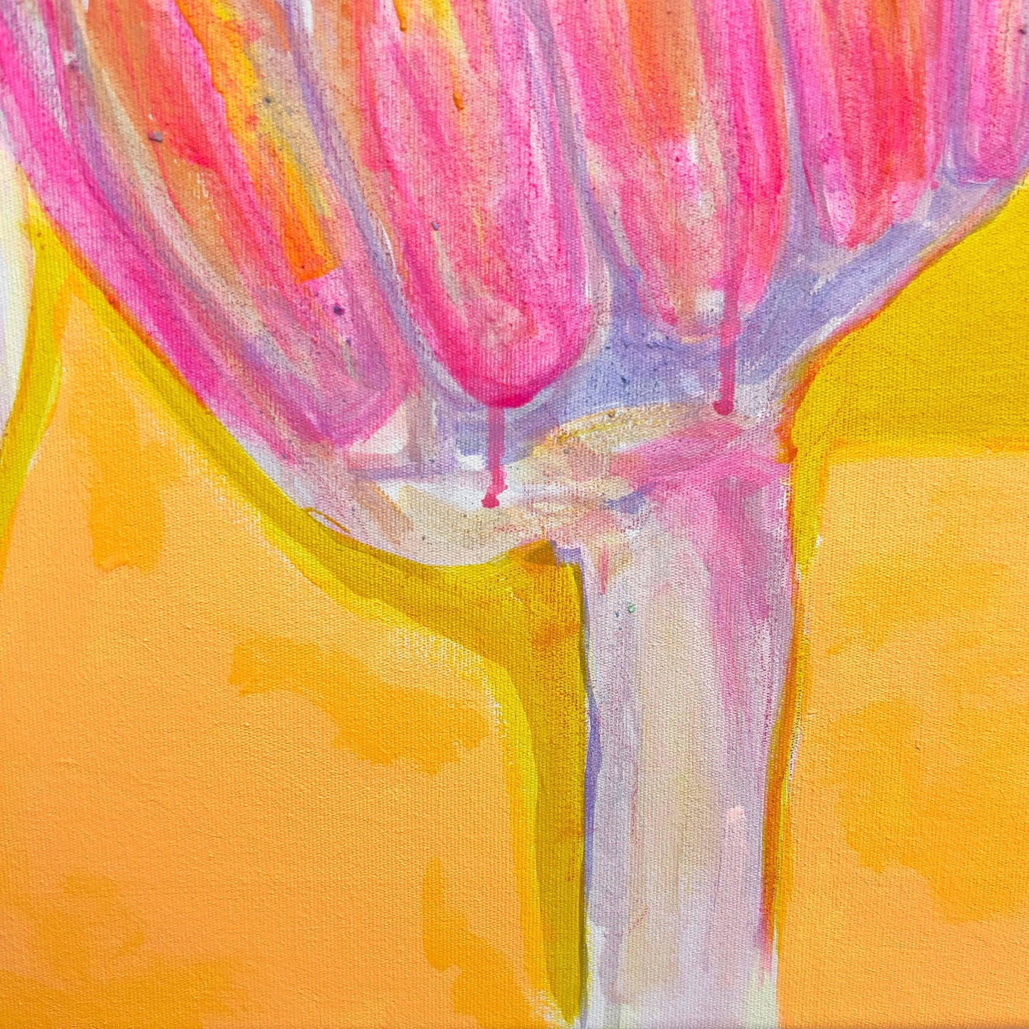 'Pink Banana Sunset Study'  51cm x 51cm - Kathryn Sillince Artist