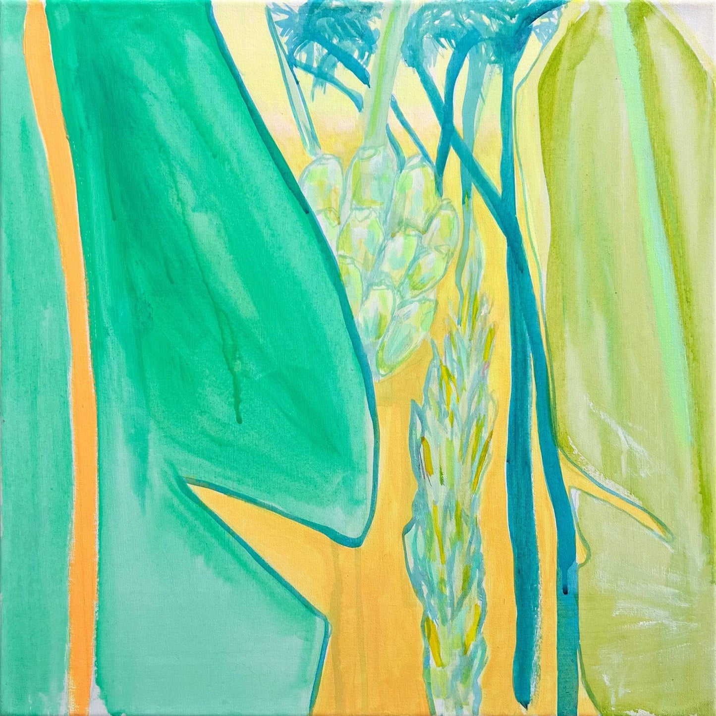 'Green Bananas Study'  51cm x 51cm - Kathryn Sillince Artist
