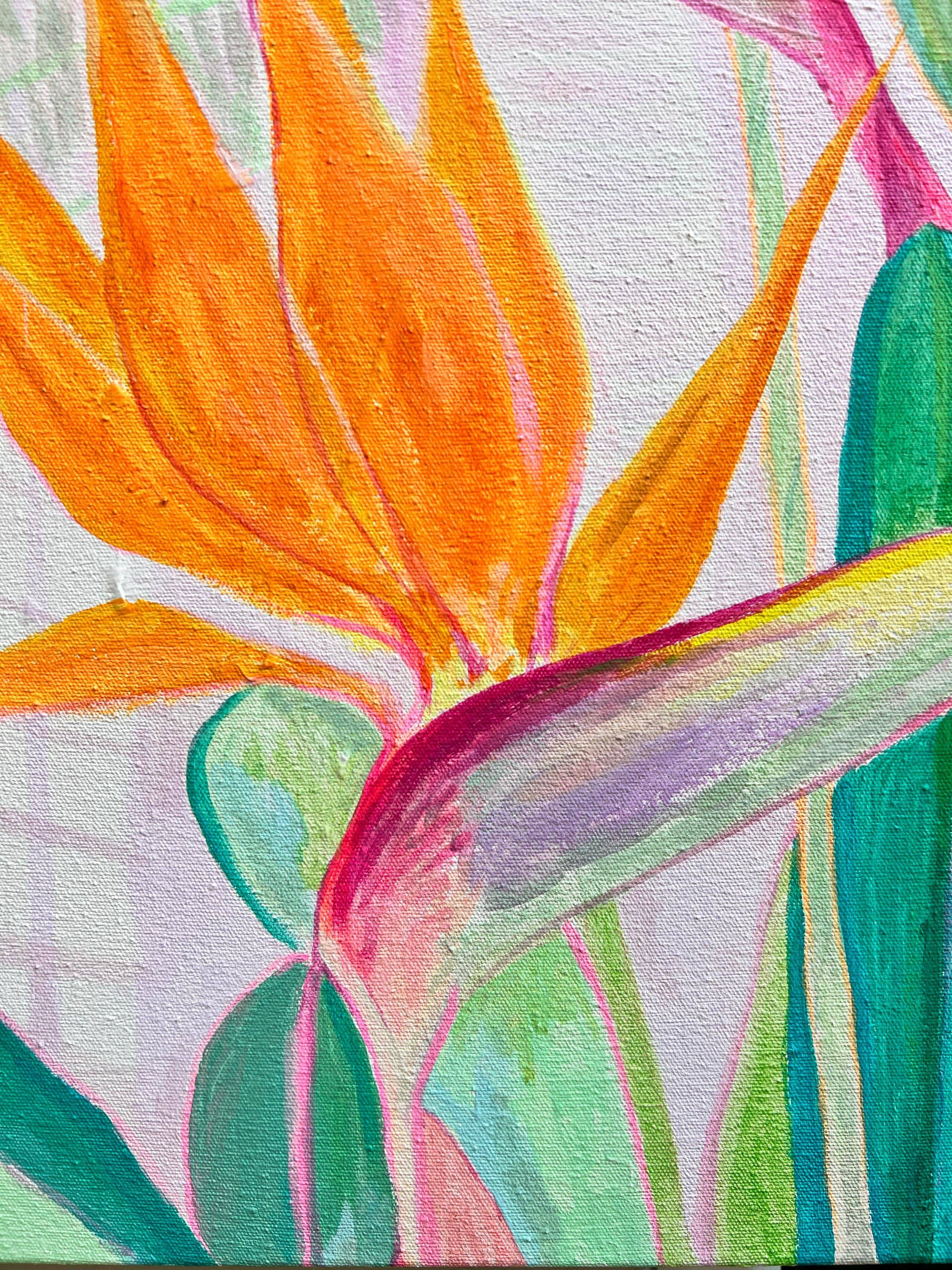 'A Flock Of Orange'  60cm x 60cm - Kathryn Sillince Artist