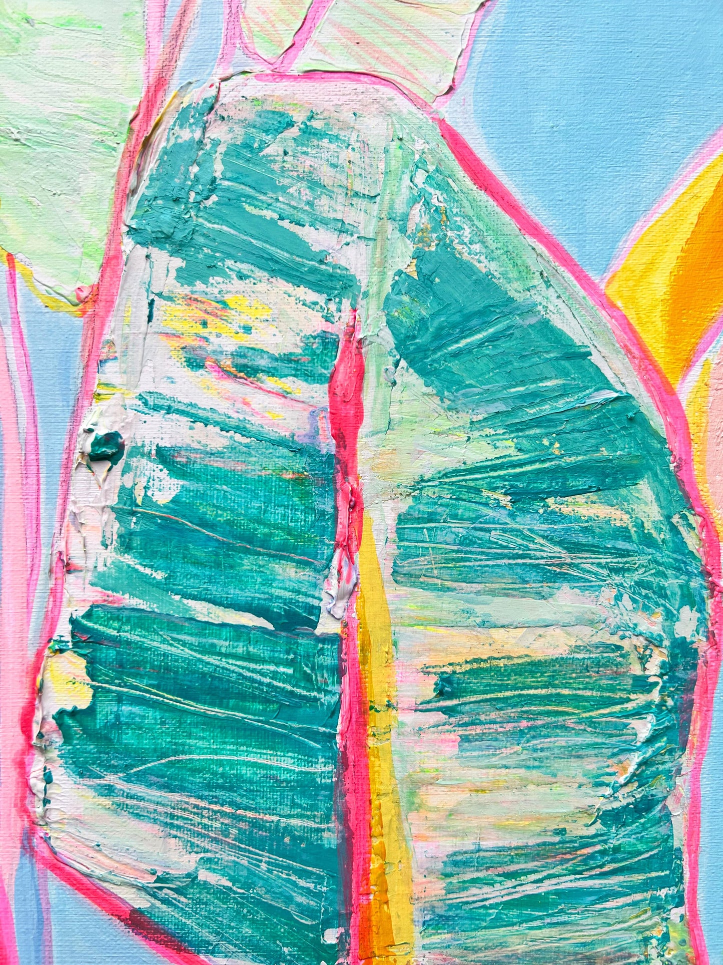 'Musa Basjoo'  46cm x 46cm - Kathryn Sillince Artist