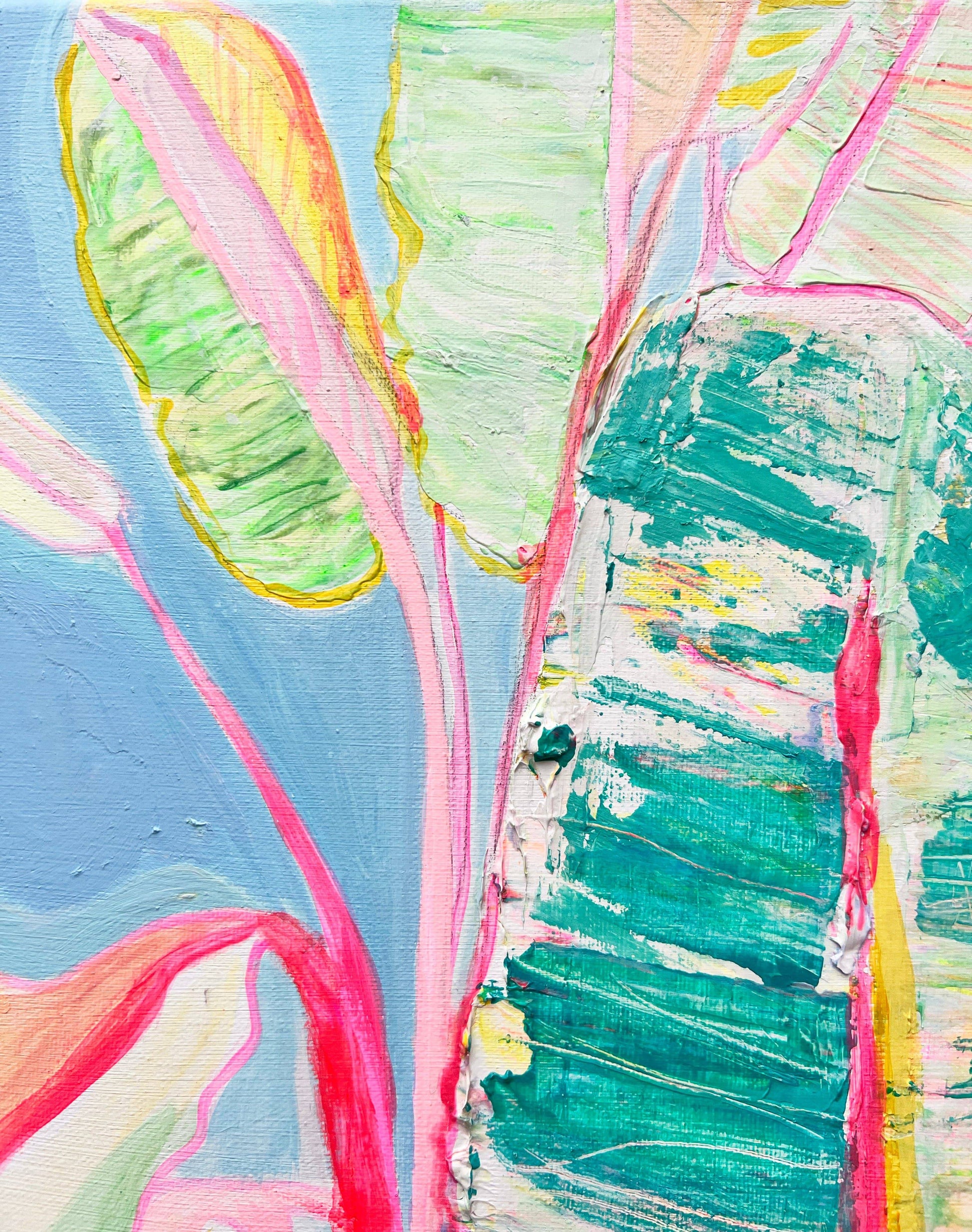 'Musa Basjoo'  46cm x 46cm - Kathryn Sillince Artist