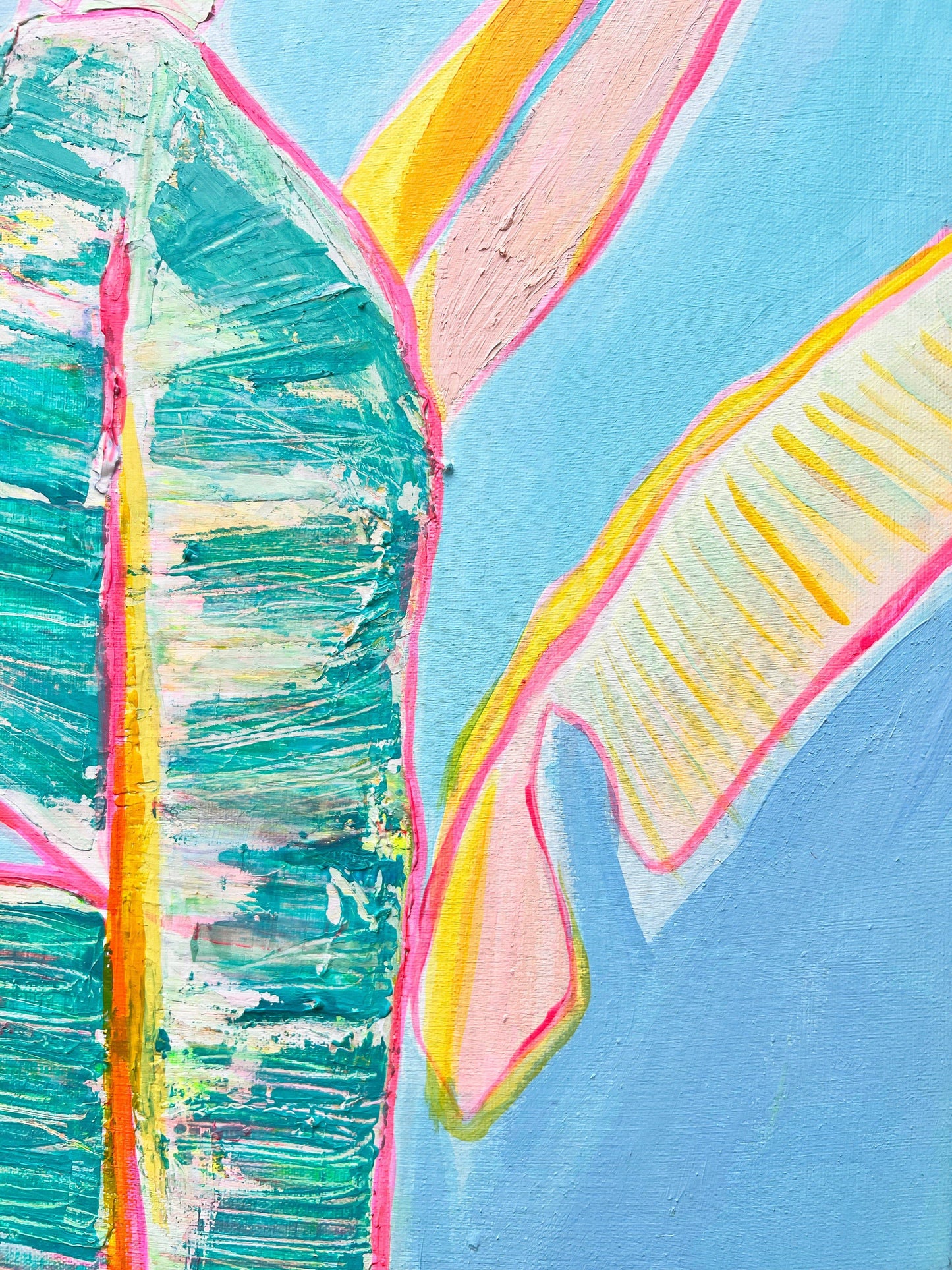 'Musa Basjoo'  46cm x 46cm - Kathryn Sillince Artist