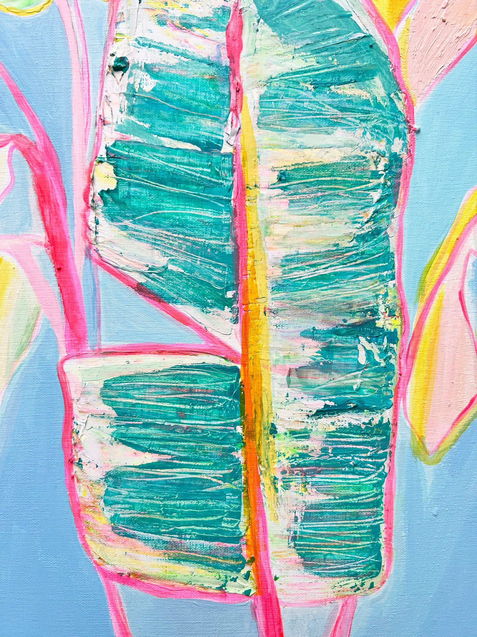 'Musa Basjoo'  46cm x 46cm - Kathryn Sillince Artist