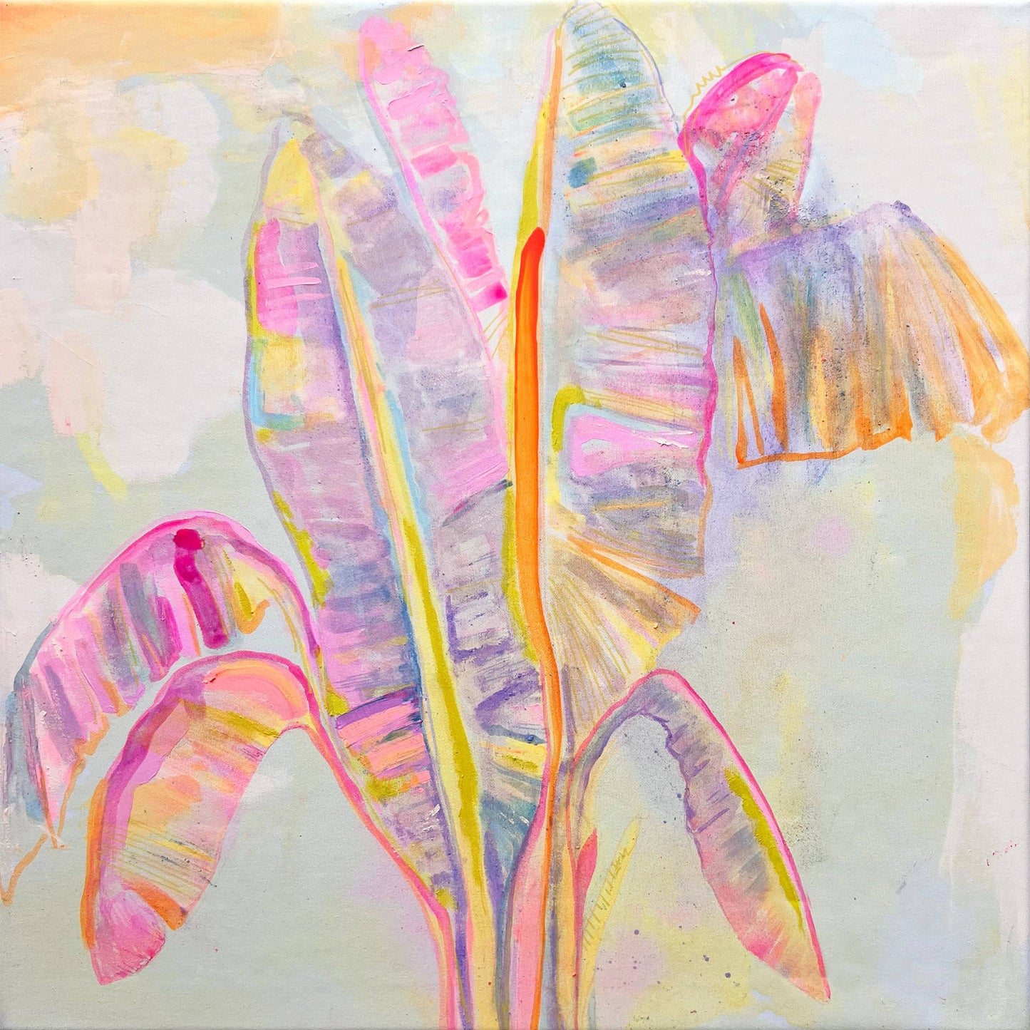 'Peachy Banana Dreams' 72cm x 72cm - Kathryn Sillince Artist