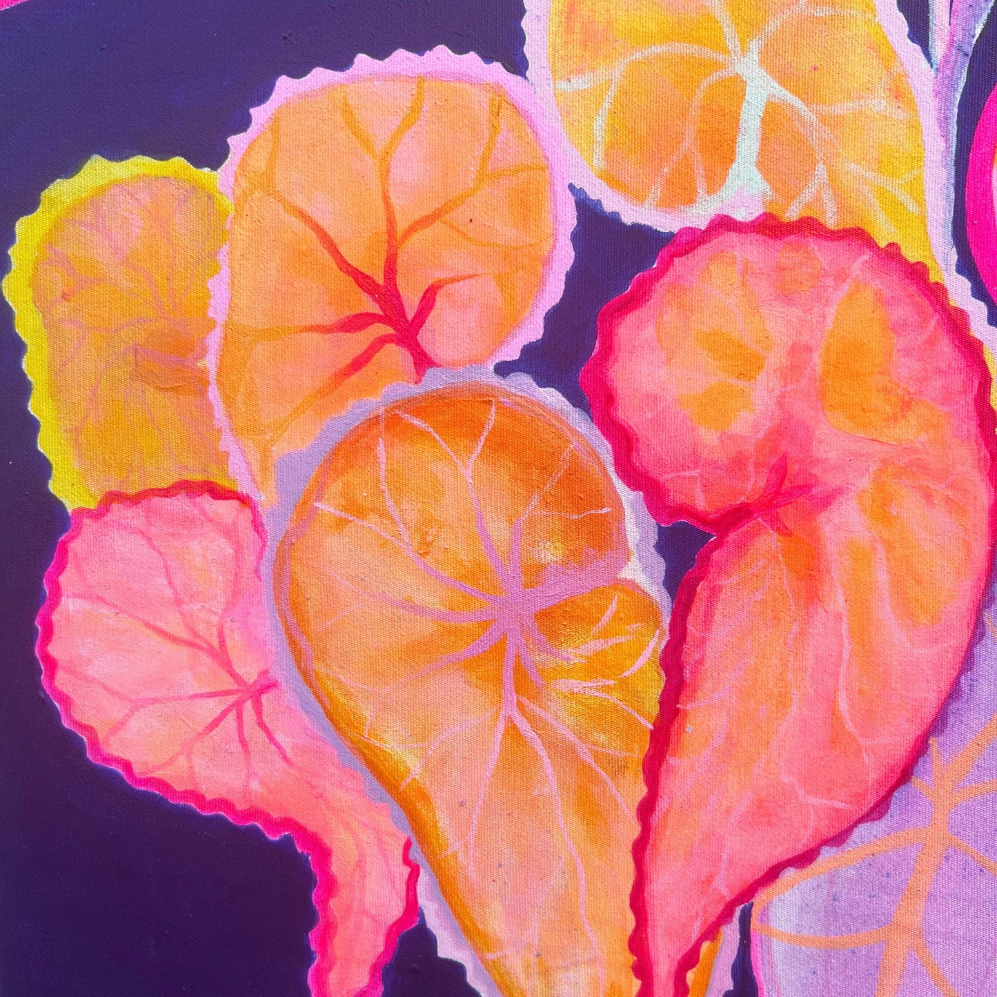 ‘Begonia Alocasia Still Life' Print - Kathryn Sillince Artist