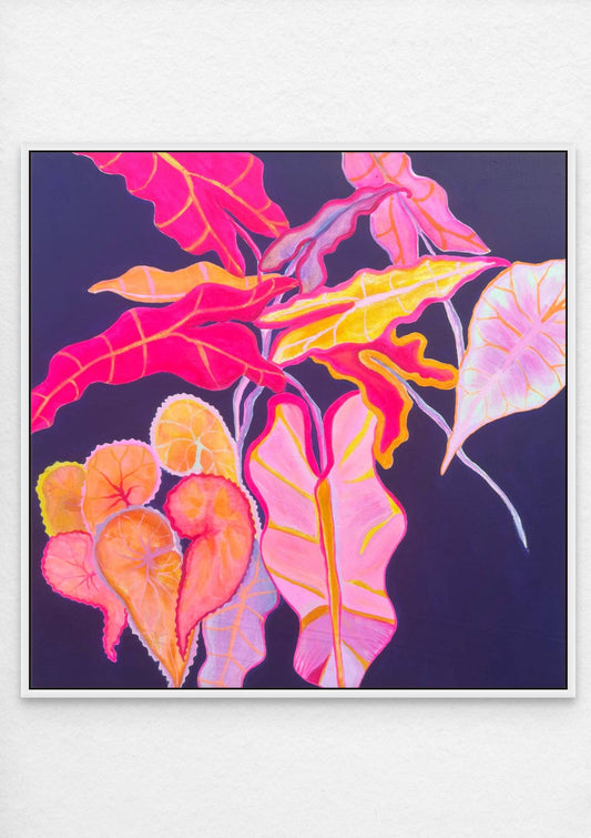 ‘Begonia Alocasia Still Life' Print - Kathryn Sillince Artist