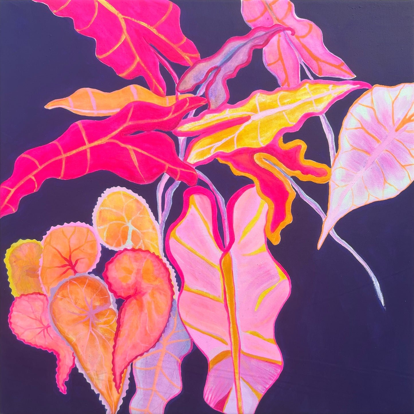 ‘Begonia Alocasia Still Life' Print - Kathryn Sillince Artist