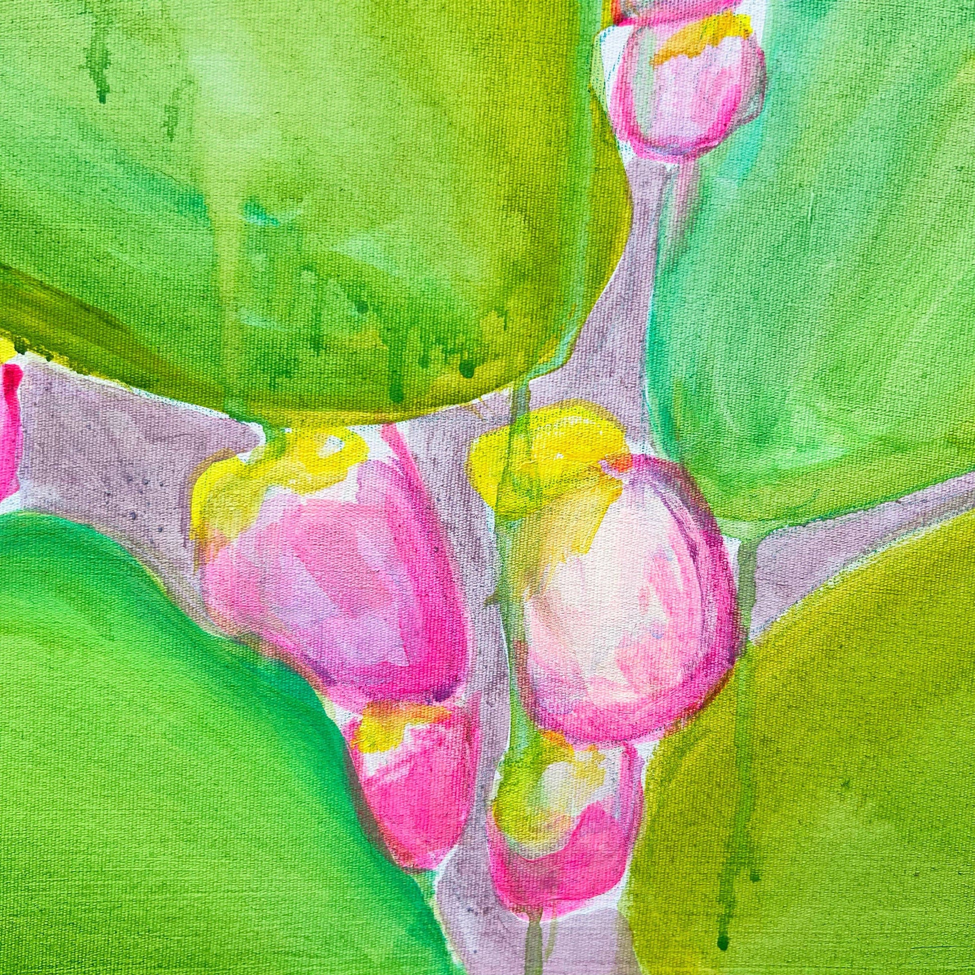 ‘Sicily Prickly Pears' Print - Kathryn Sillince Artist