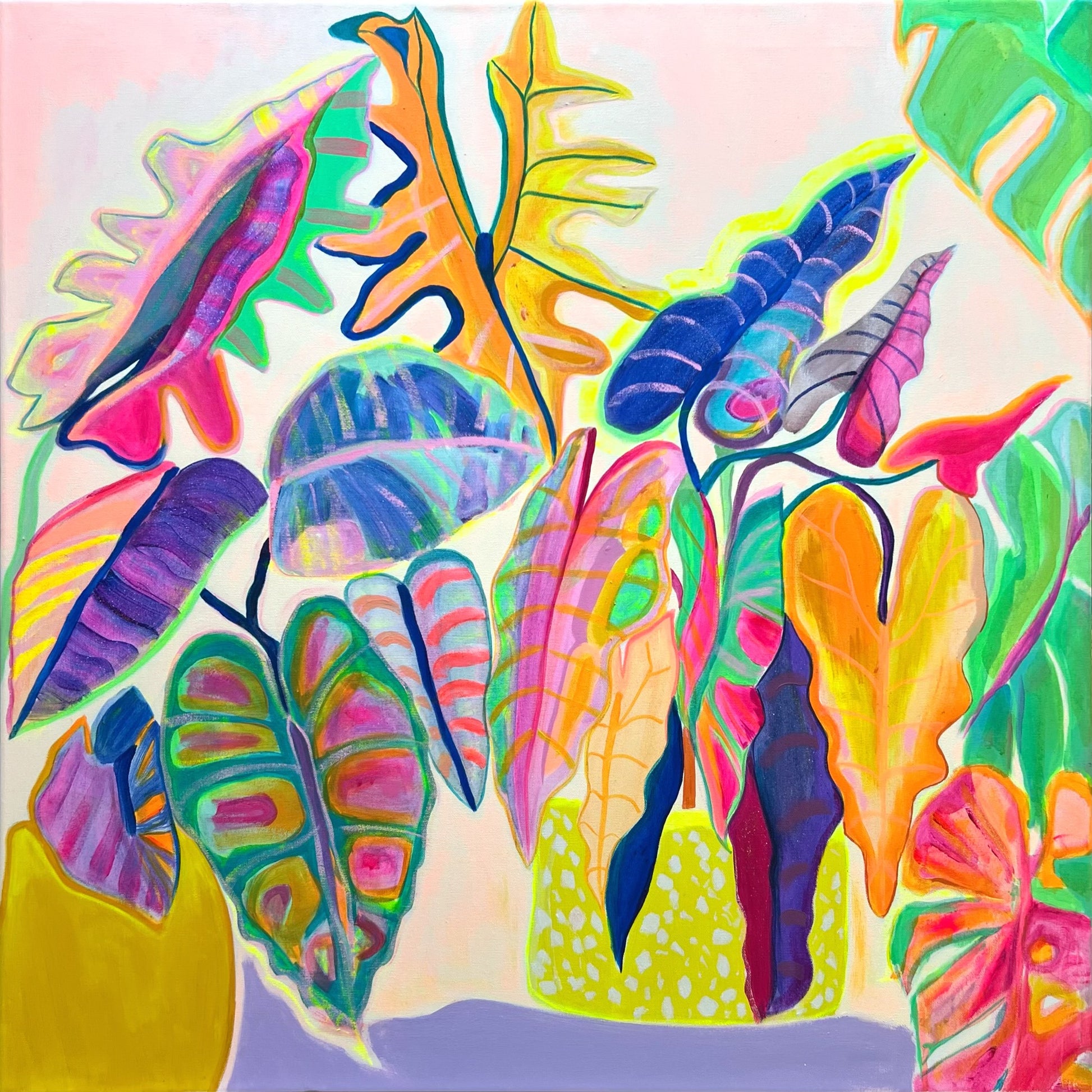 'Alocasia Revelation’ 82cm x 82cm - Kathryn Sillince Artist