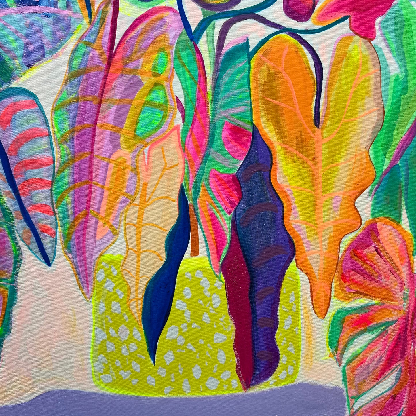 'Alocasia Revelation’ 82cm x 82cm - Kathryn Sillince Artist