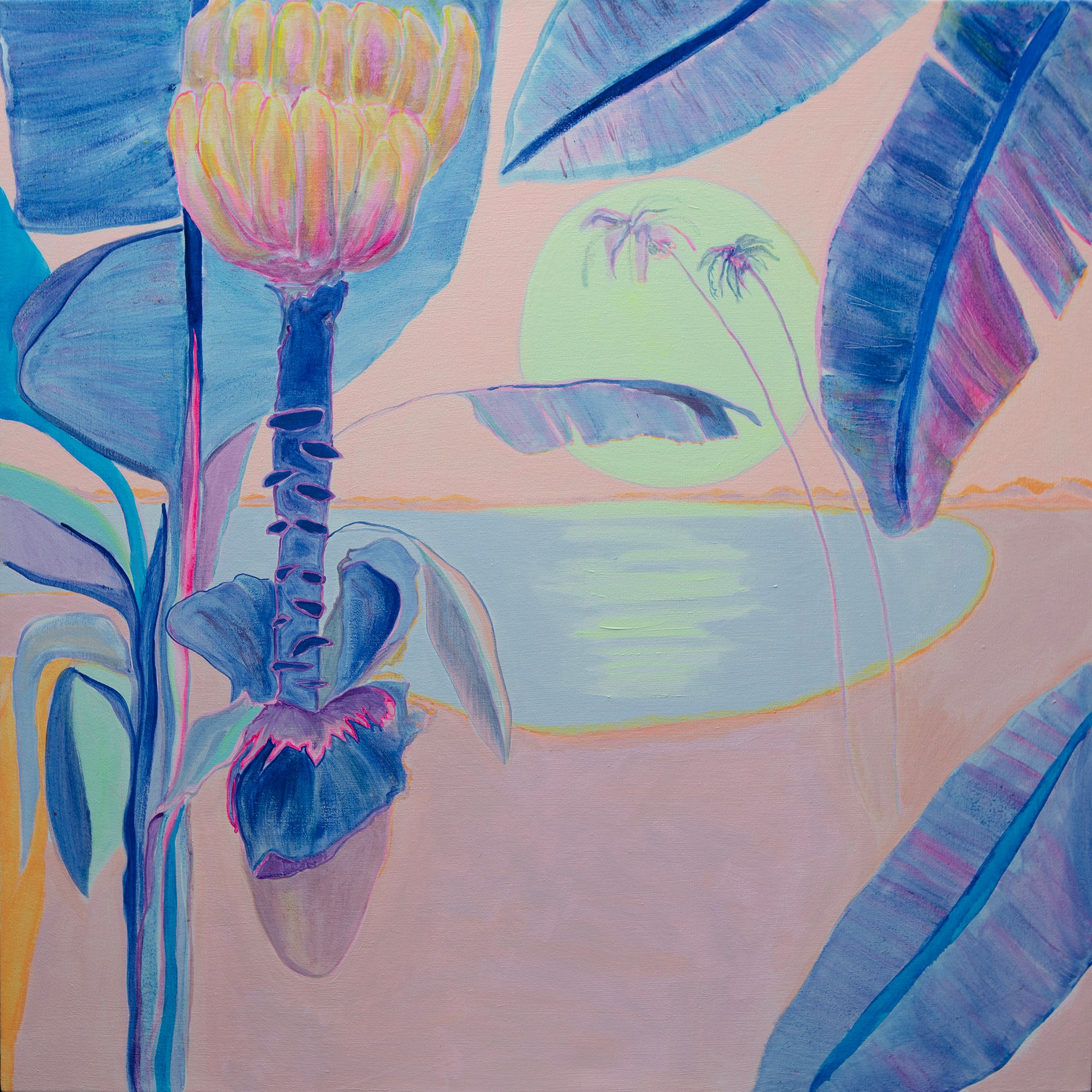 'Flourishing By Moonlight'  76cm x 76cm - Kathryn Sillince Artist
