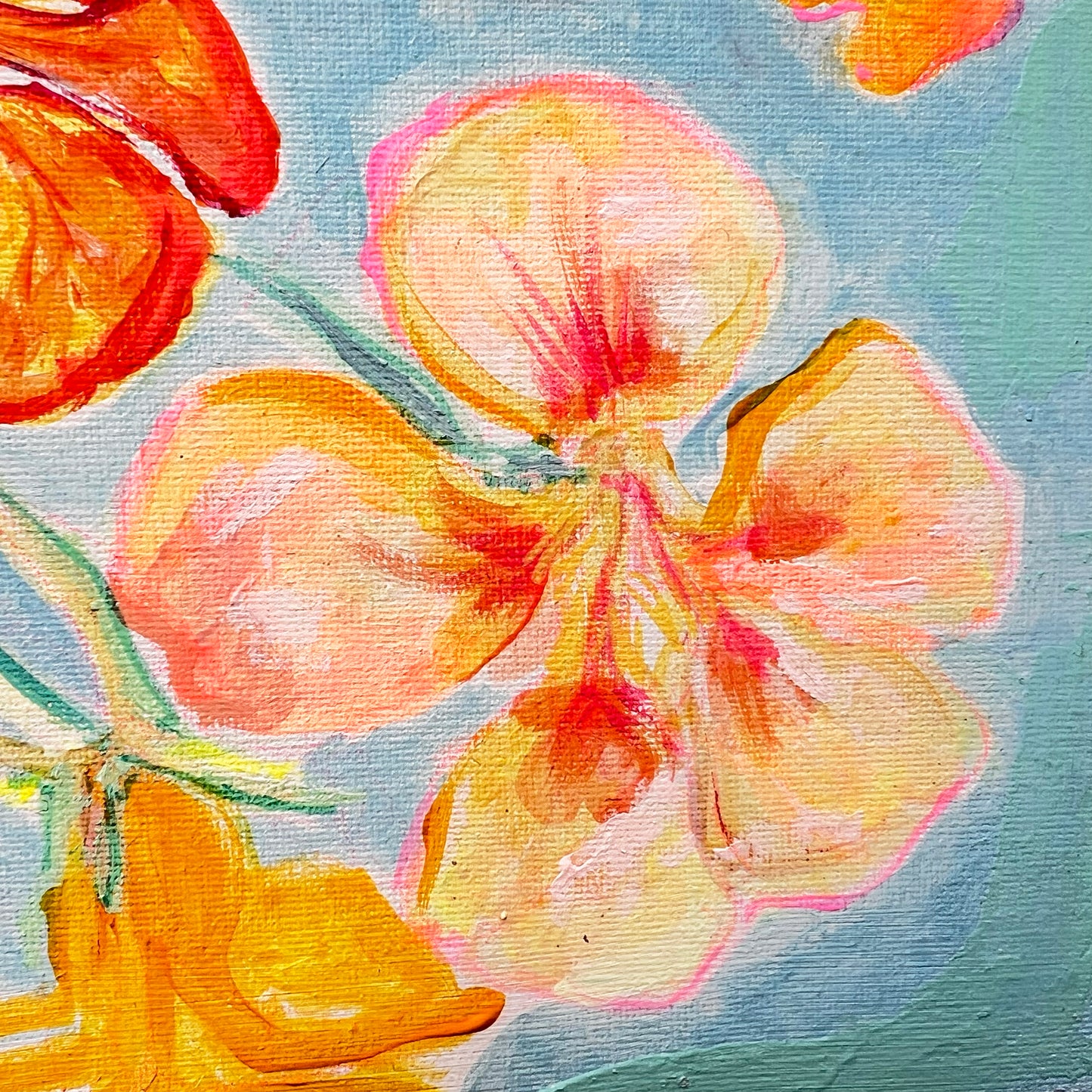 'Nasturtiums By The Pool'  54cm x 54cm - Kathryn Sillince Artist