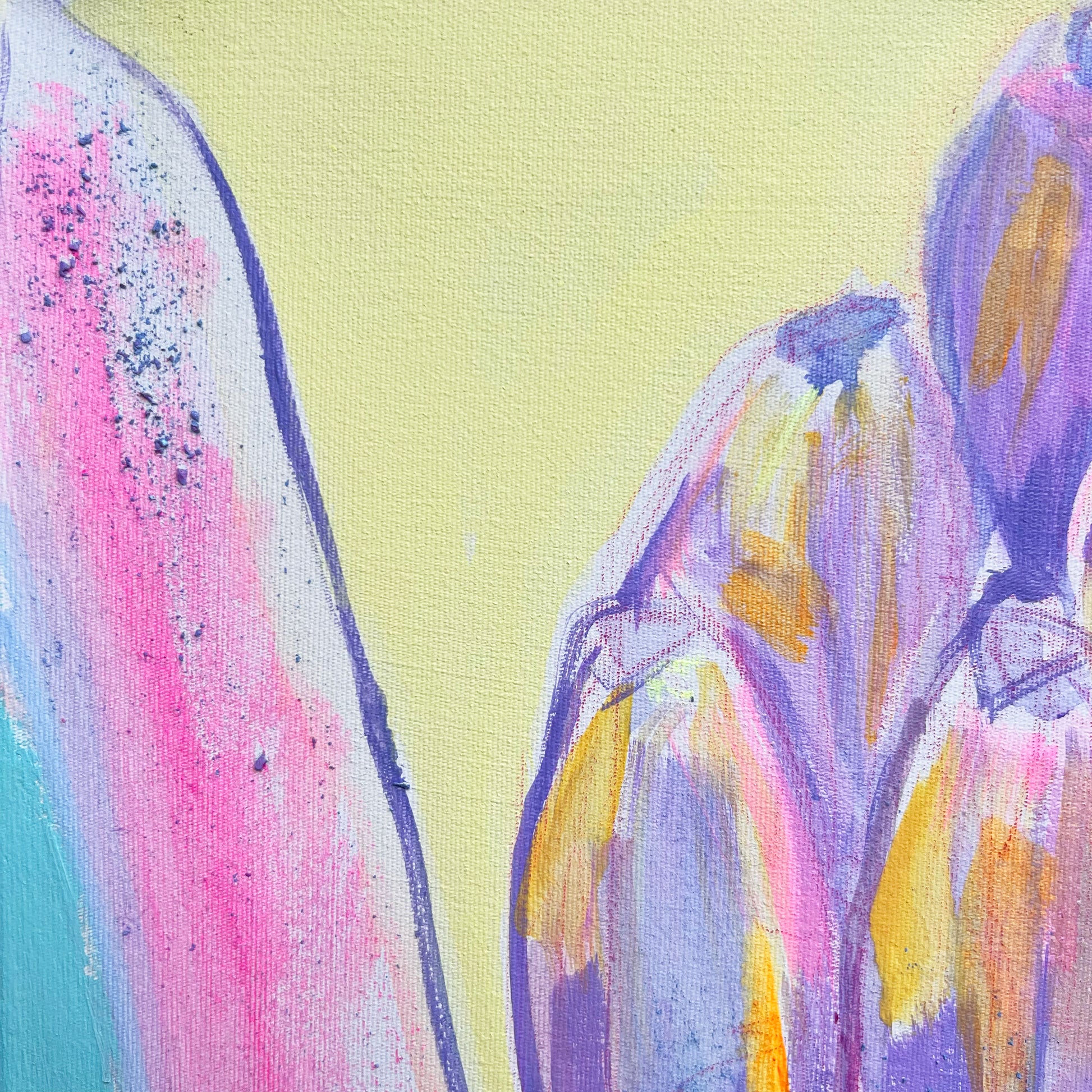 'Pink and Blue Banana Study'  51cm x 51cm - Kathryn Sillince Artist