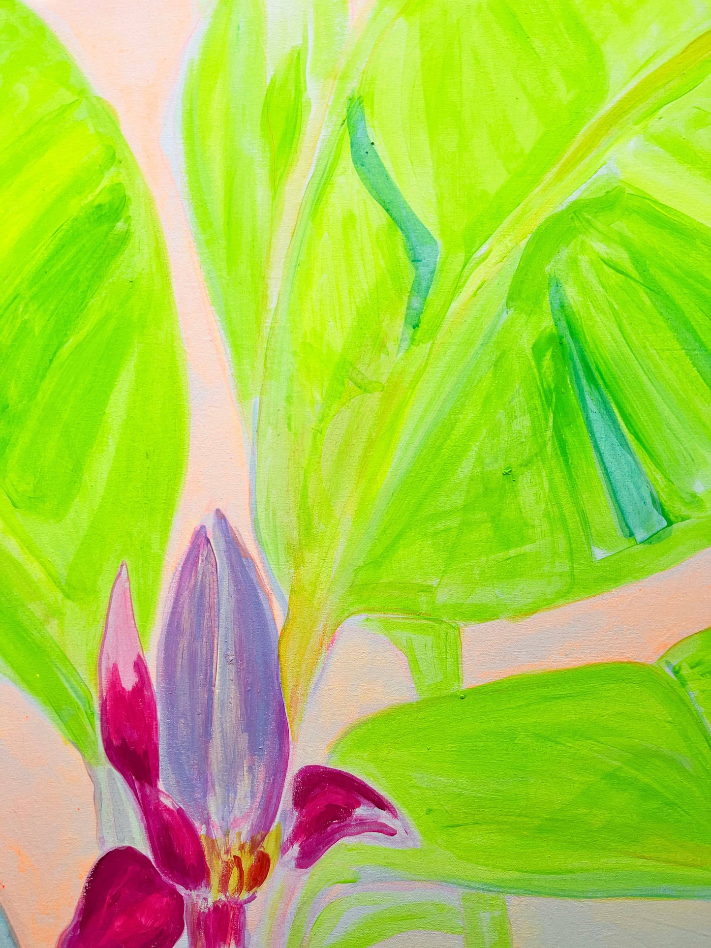 'Musa Velutina In Her Element'  112cm x 112cm - Kathryn Sillince Artist