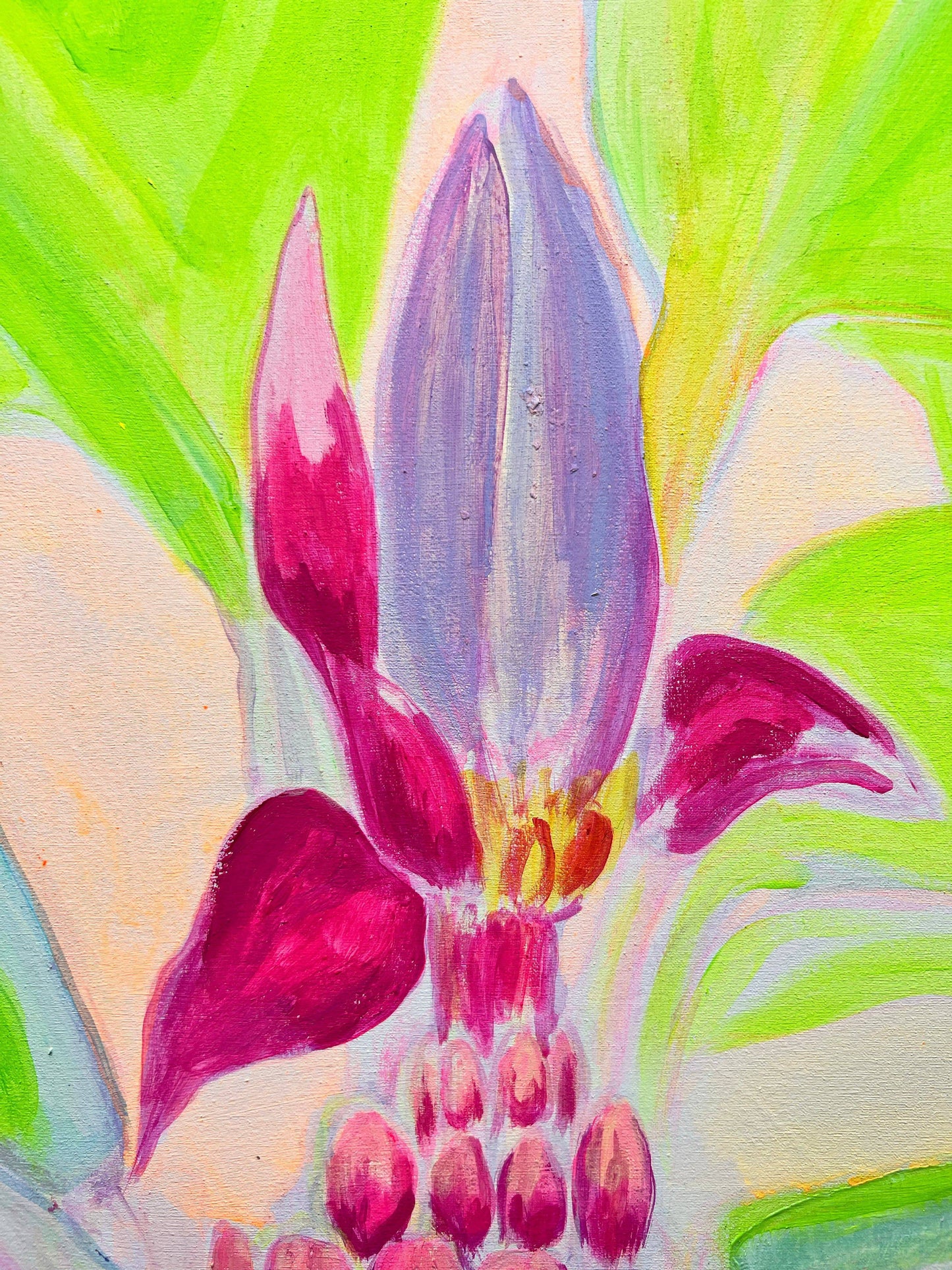 'Musa Velutina In Her Element'  112cm x 112cm - Kathryn Sillince Artist