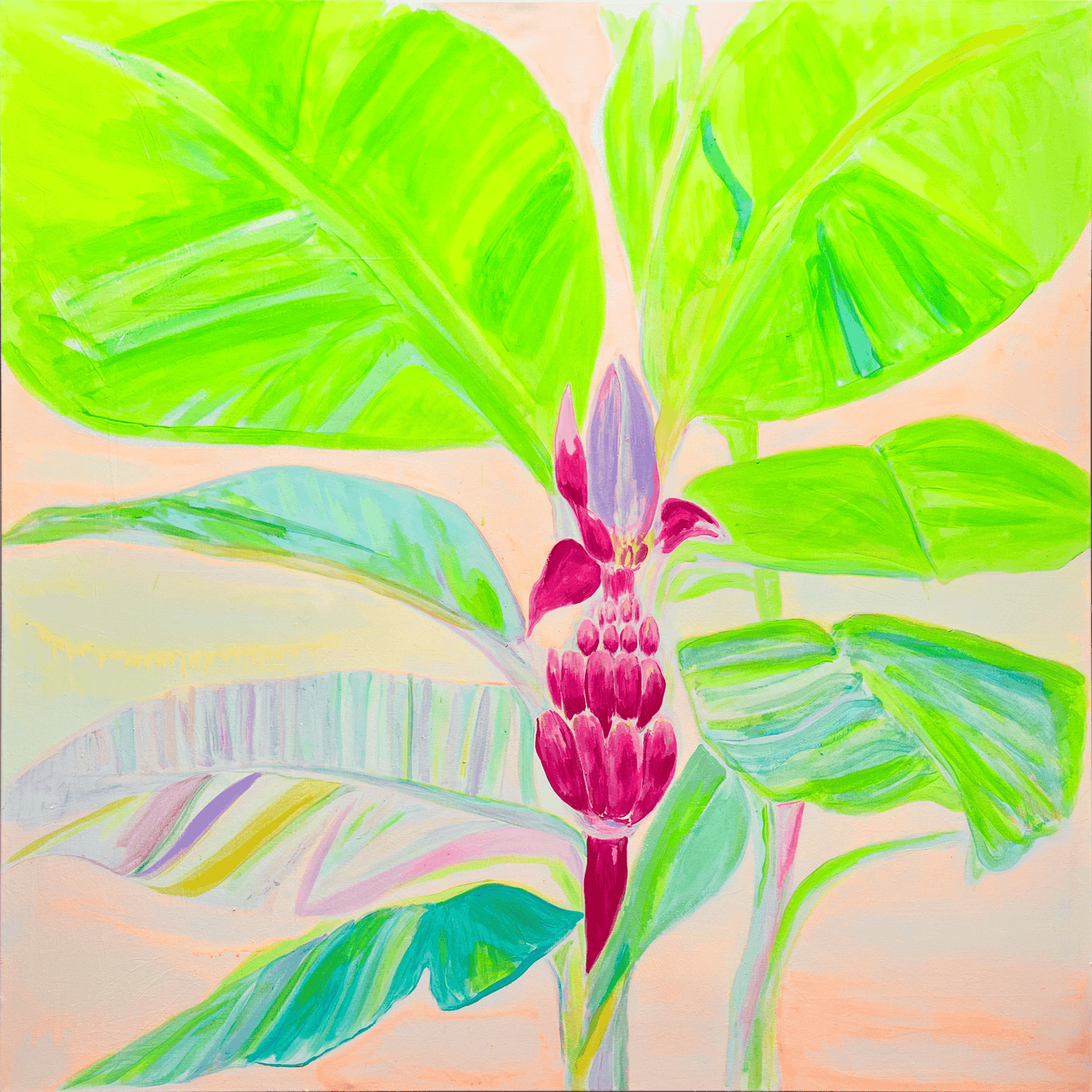 'Musa Velutina In Her Element'  112cm x 112cm - Kathryn Sillince Artist