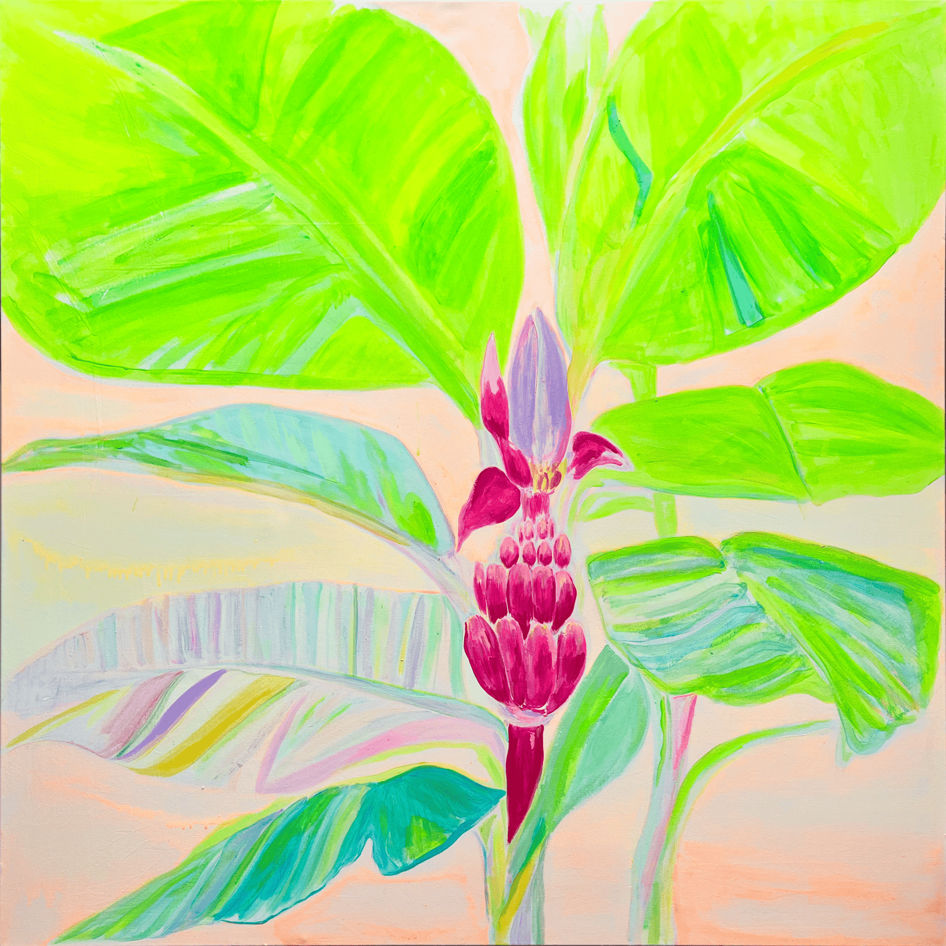 'Musa Velutina In Her Element'  112cm x 112cm - Kathryn Sillince Artist