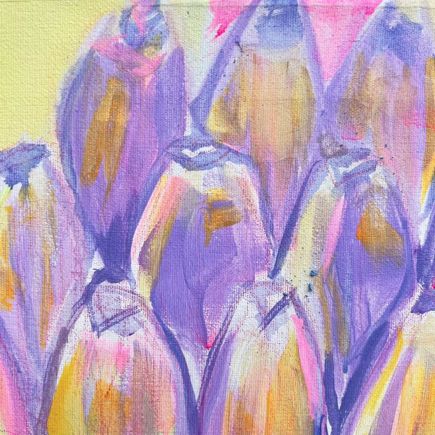 'Pink and Blue Banana Study'  51cm x 51cm - Kathryn Sillince Artist